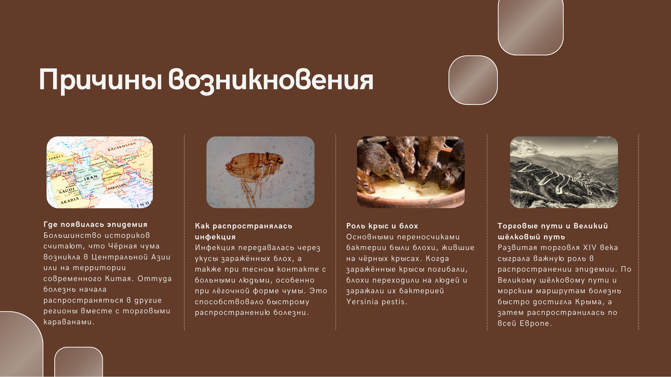 3-бет