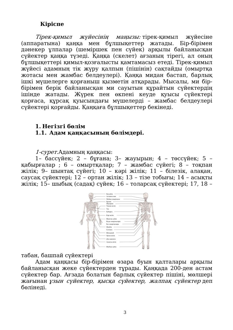 3-бет
