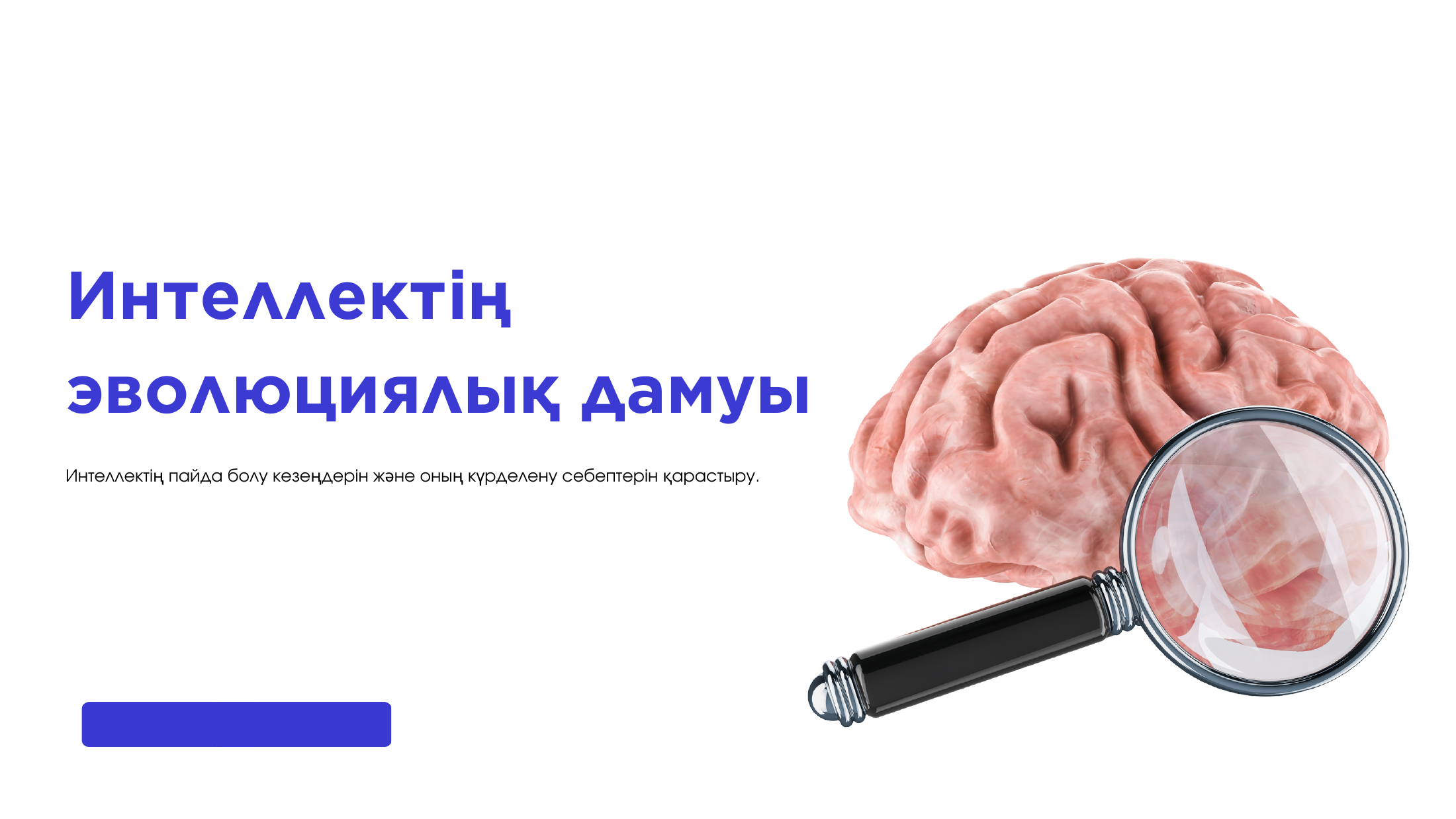 1-бет