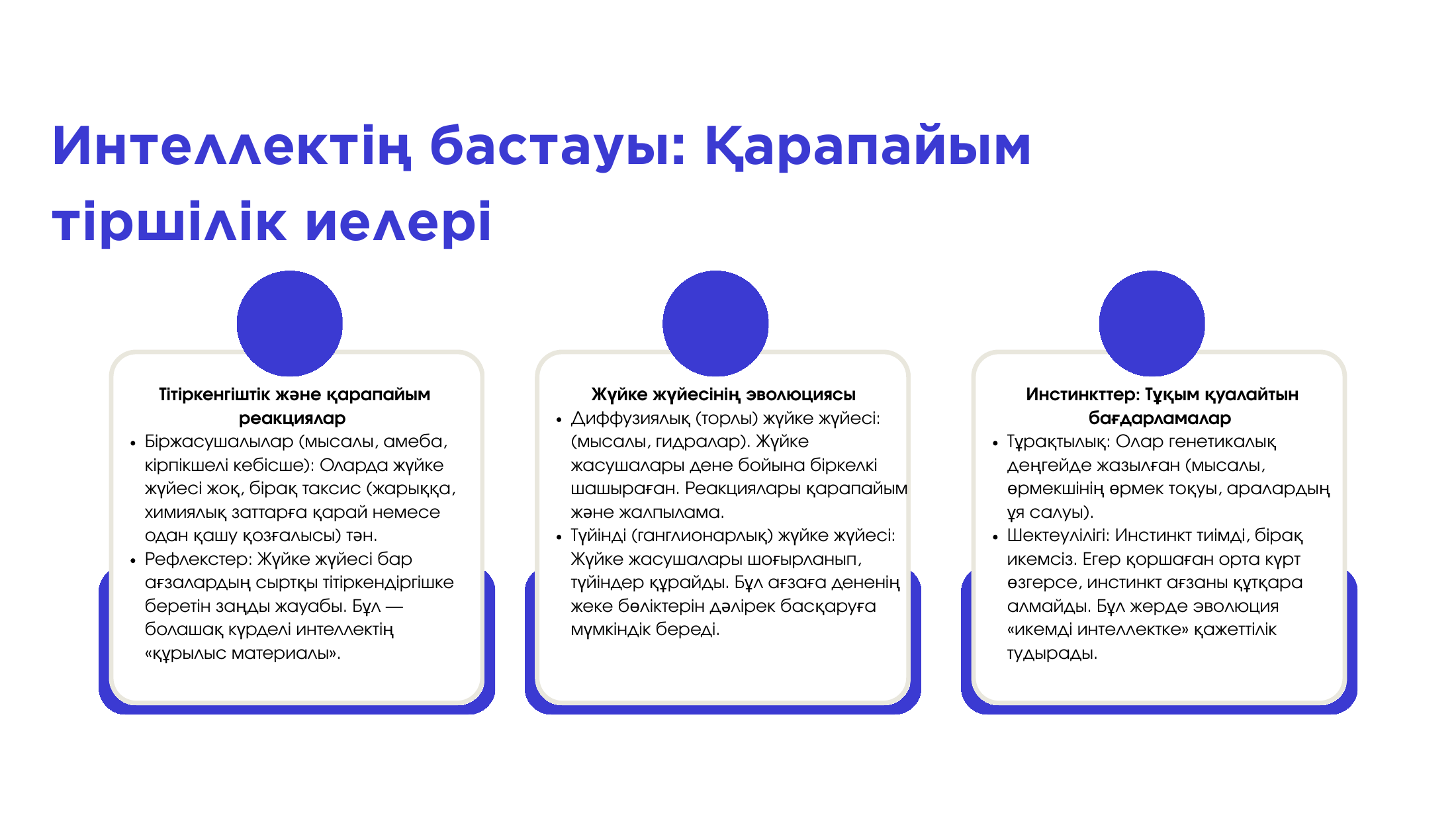 3-бет