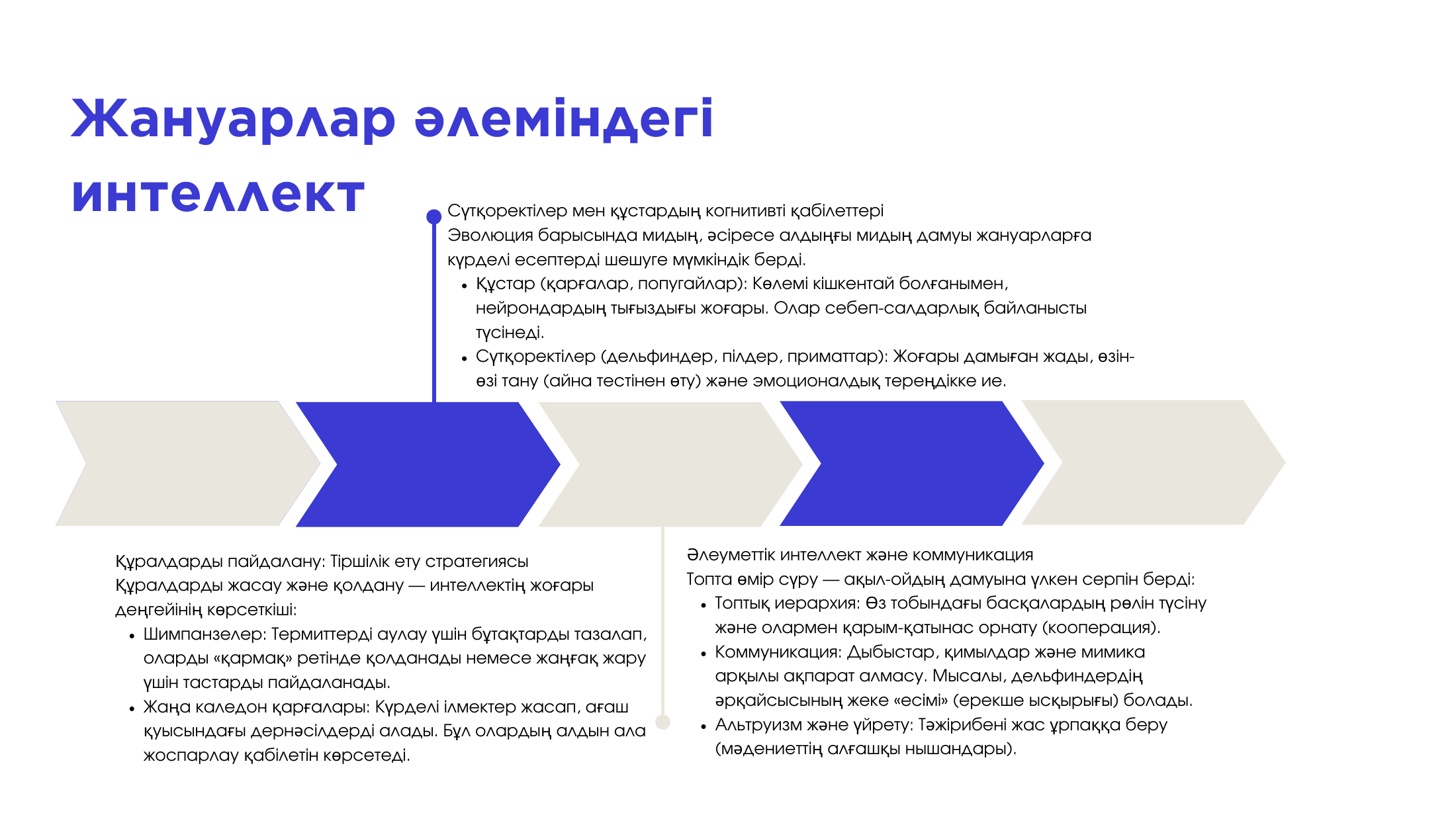 4-бет