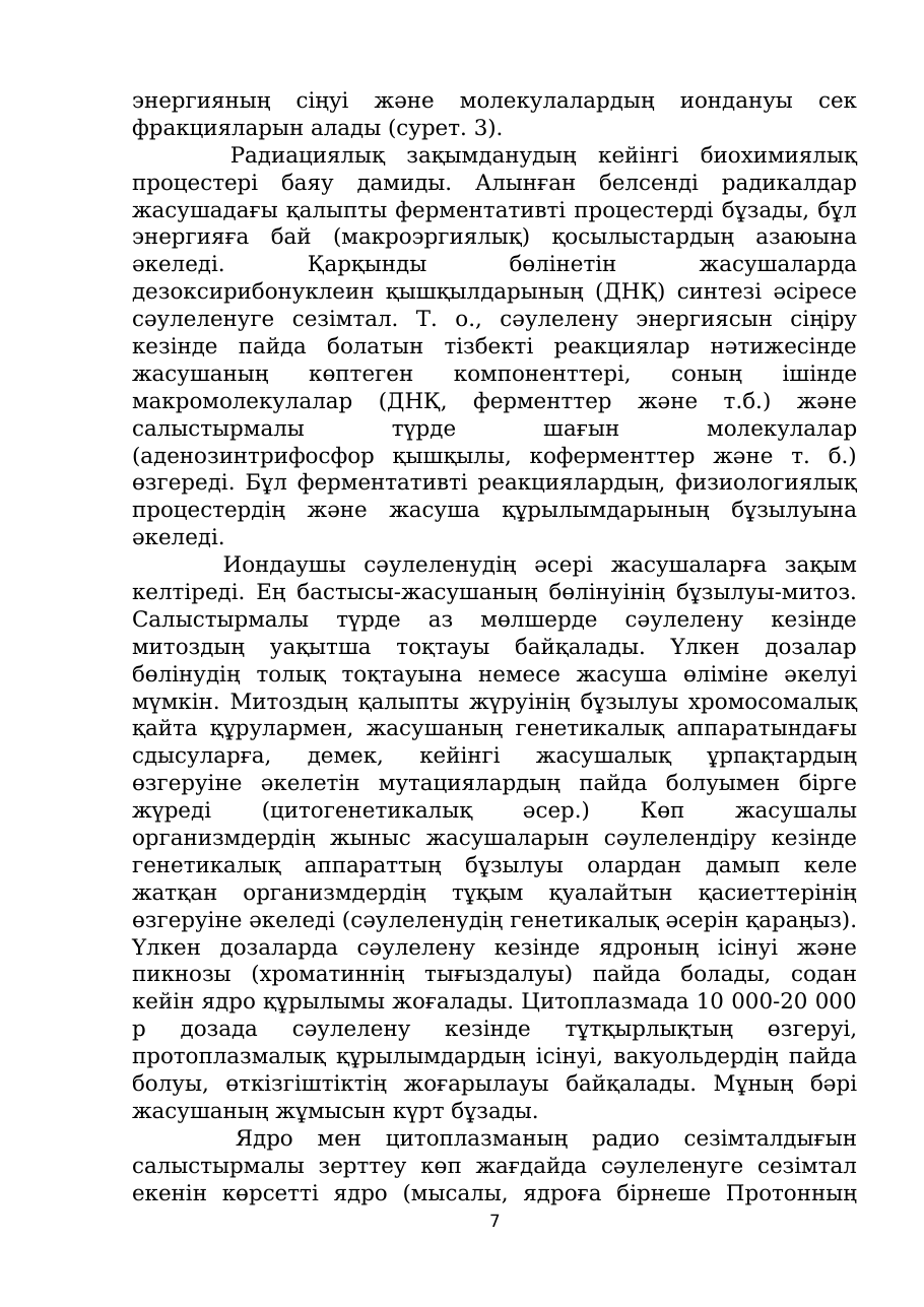 7-бет