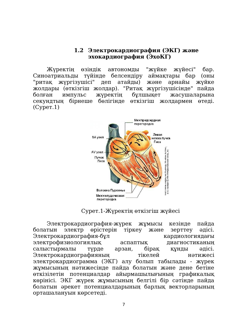 7-бет