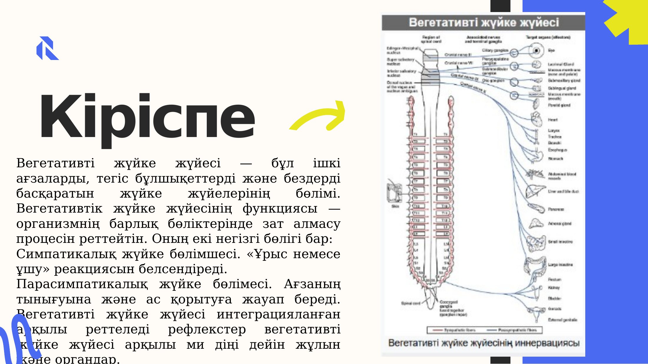3-бет