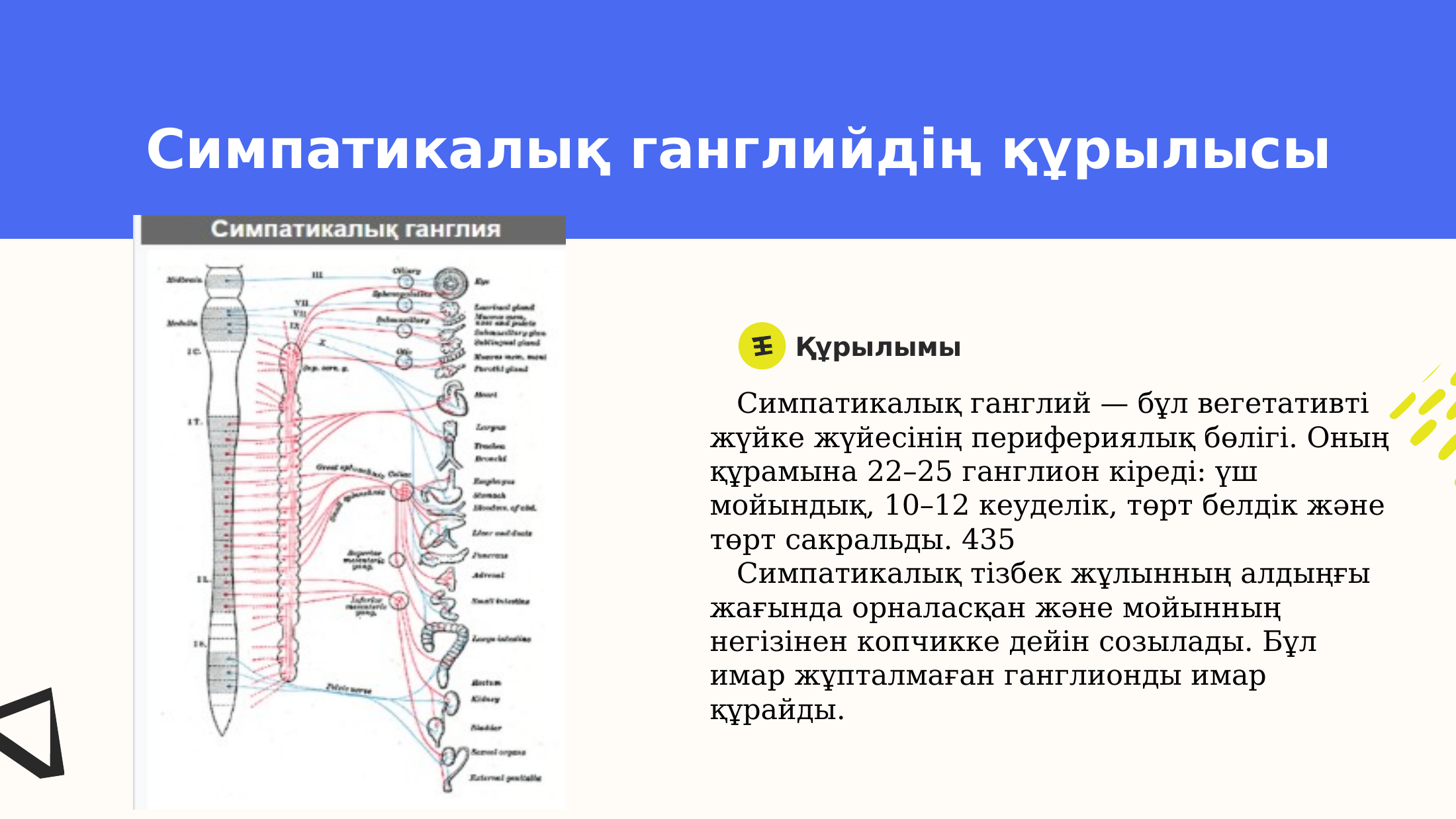 4-бет