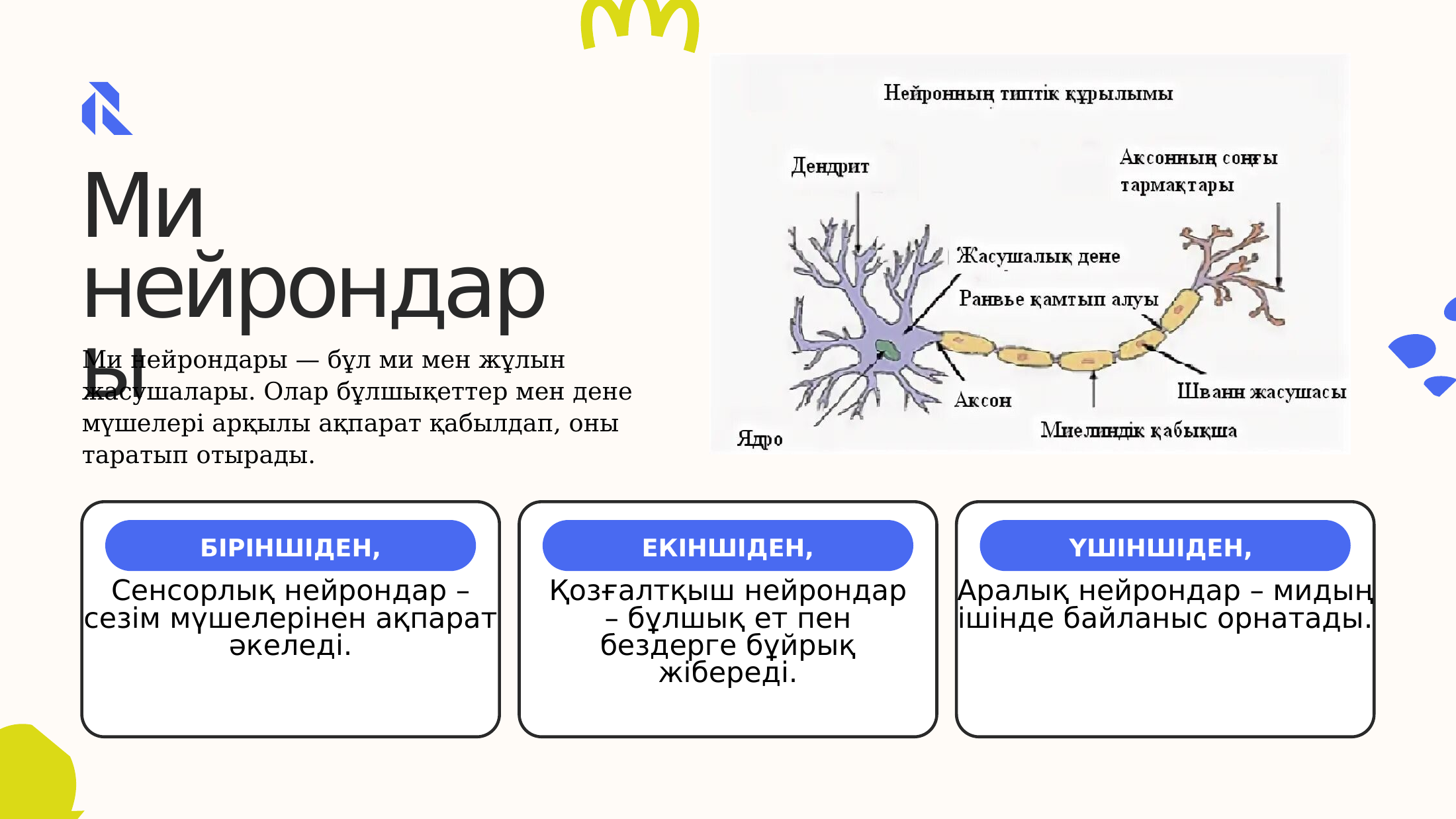 5-бет
