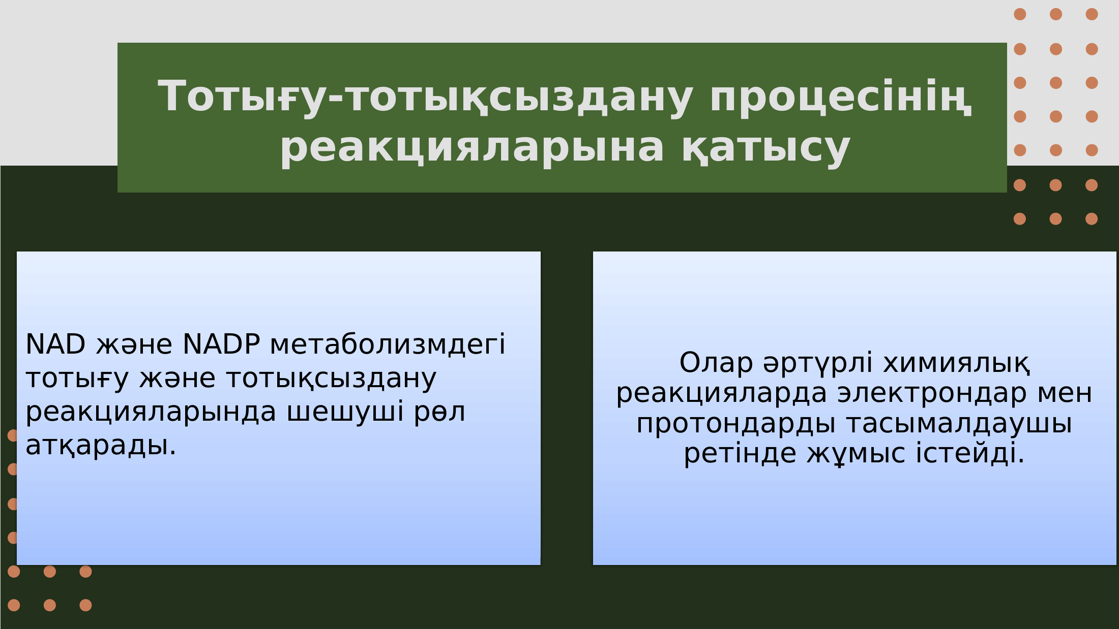 4-бет