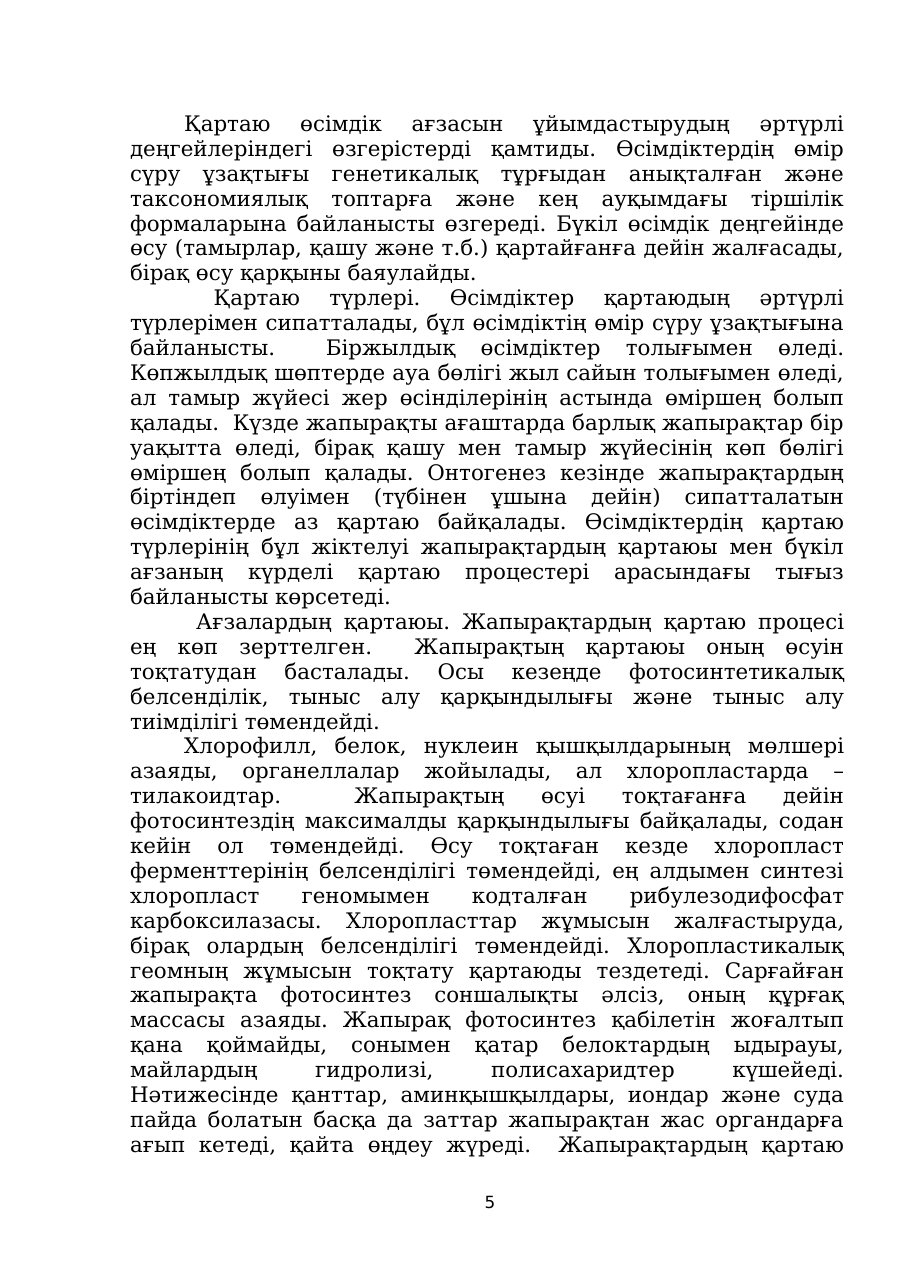 5-бет