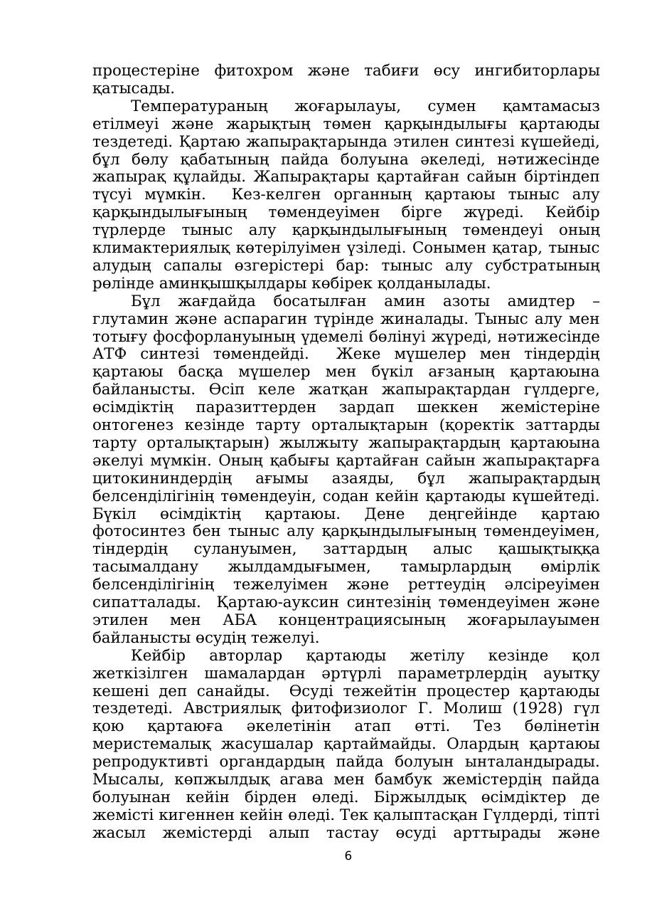 6-бет