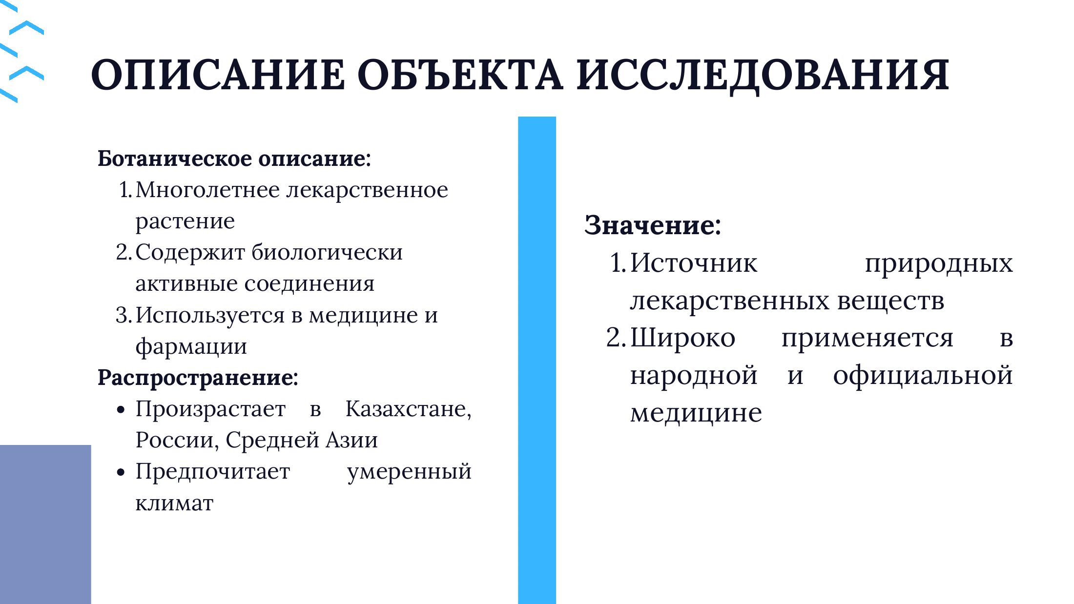 3-бет
