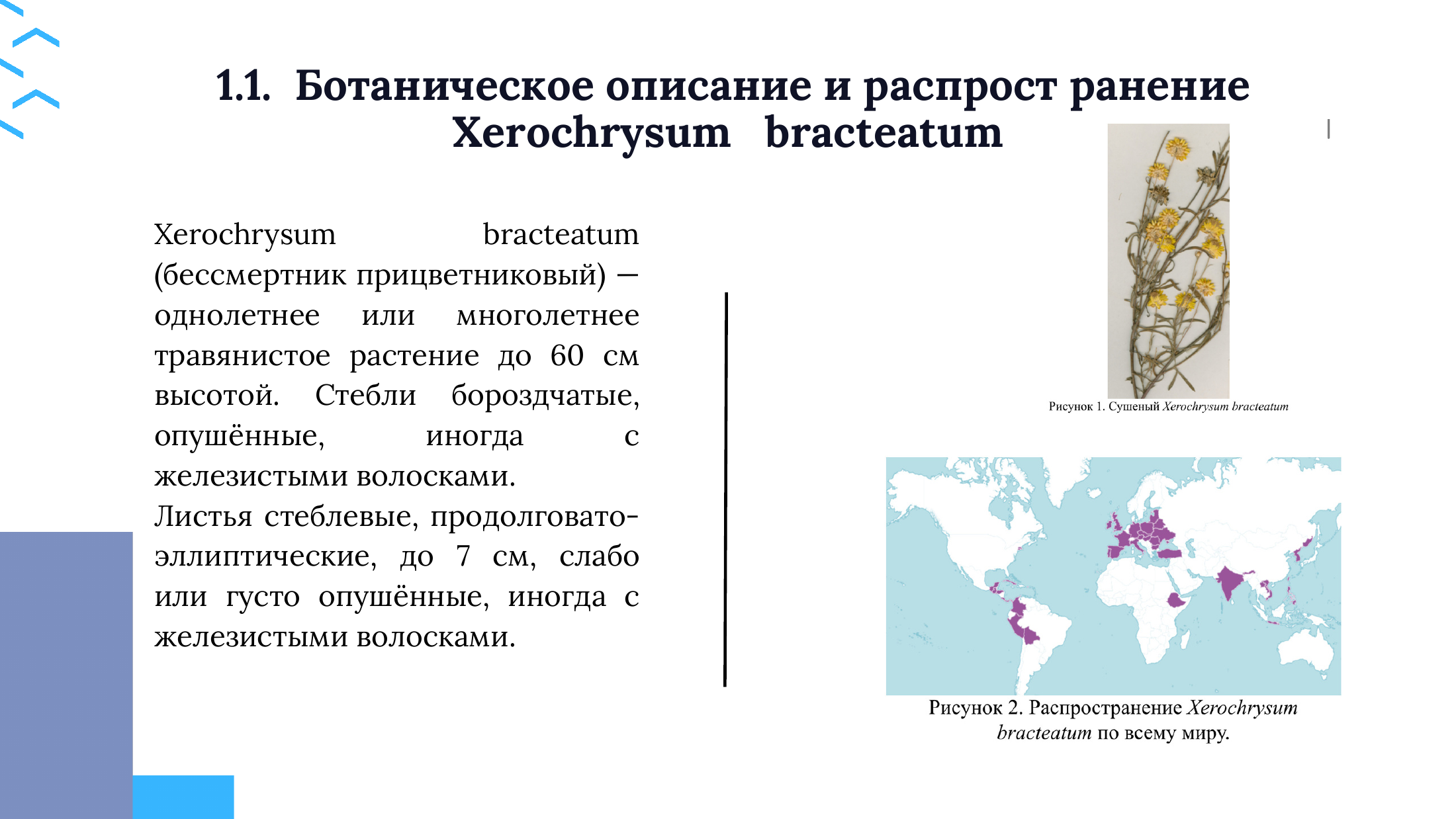 4-бет