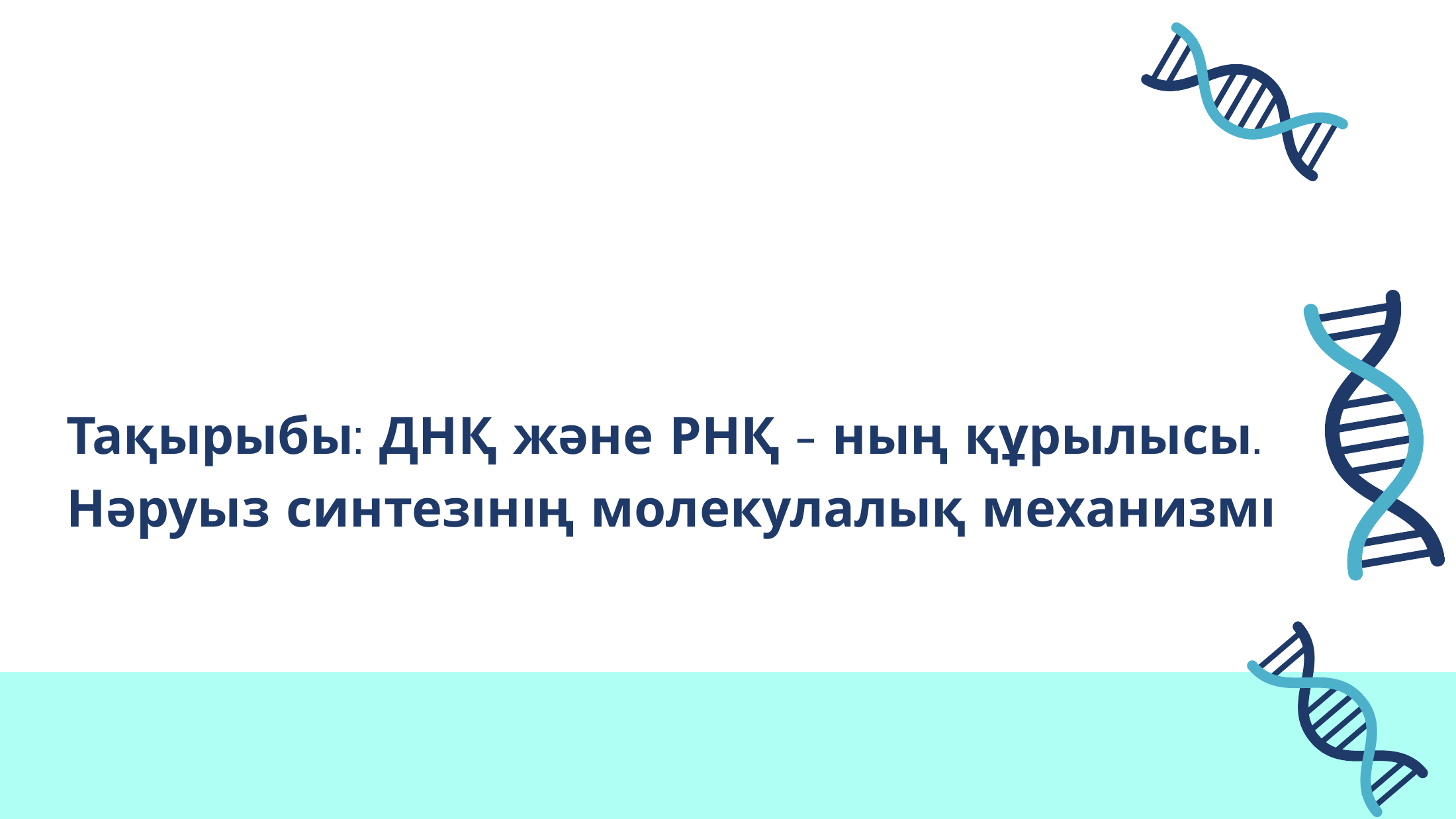 1-бет