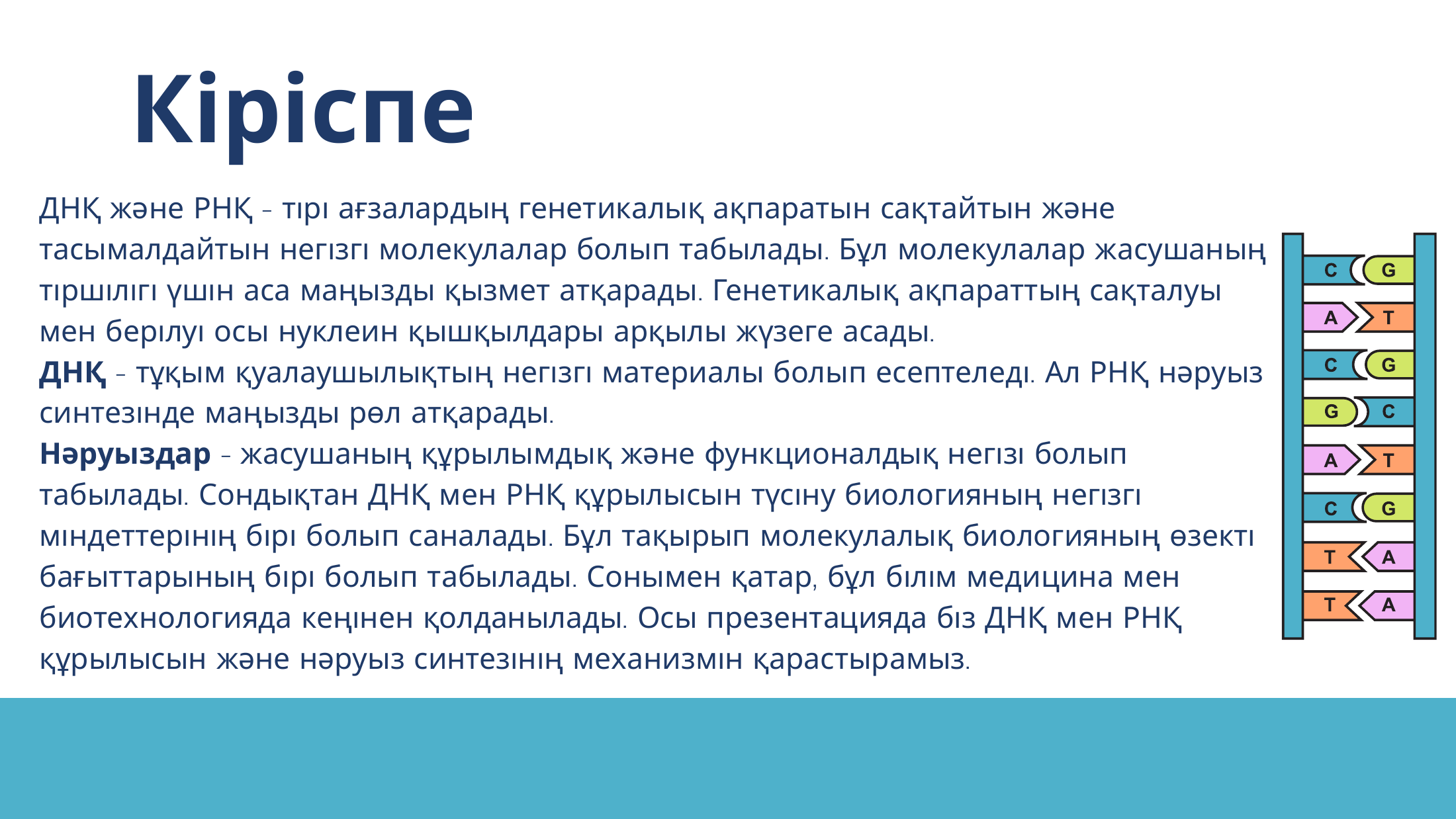 2-бет