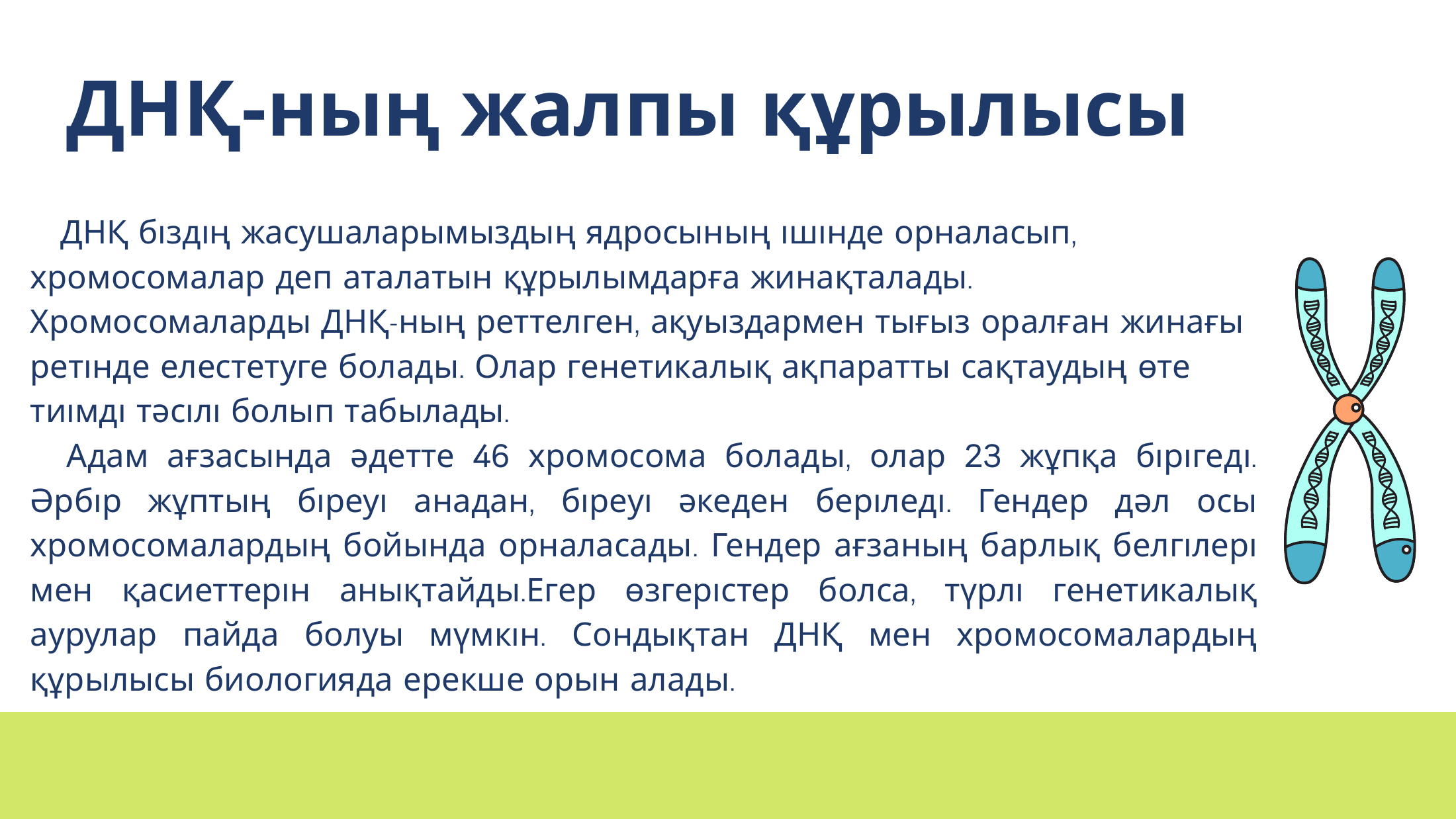 3-бет