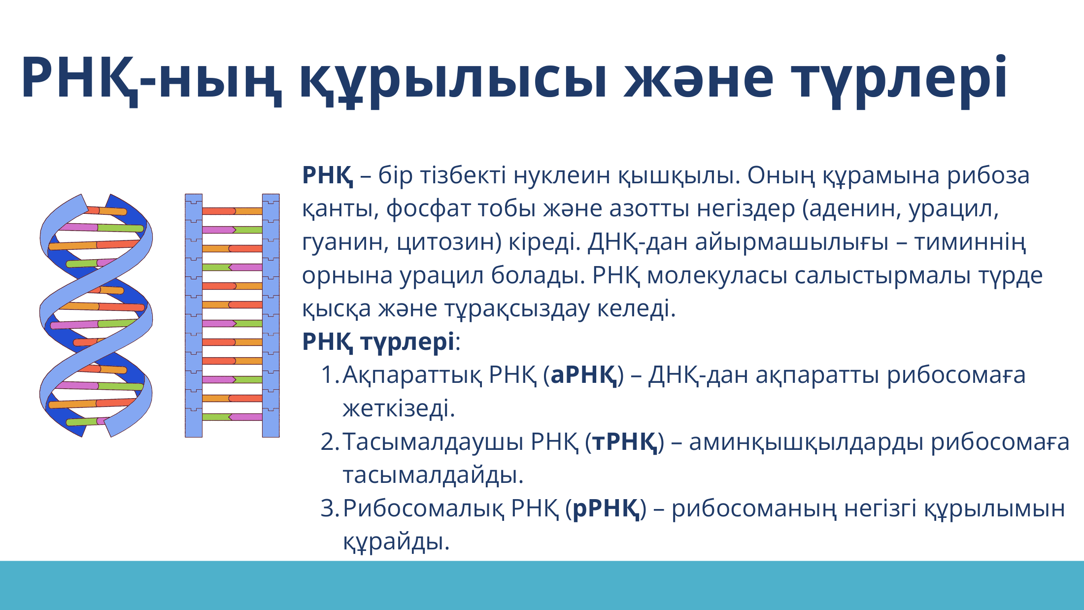 4-бет