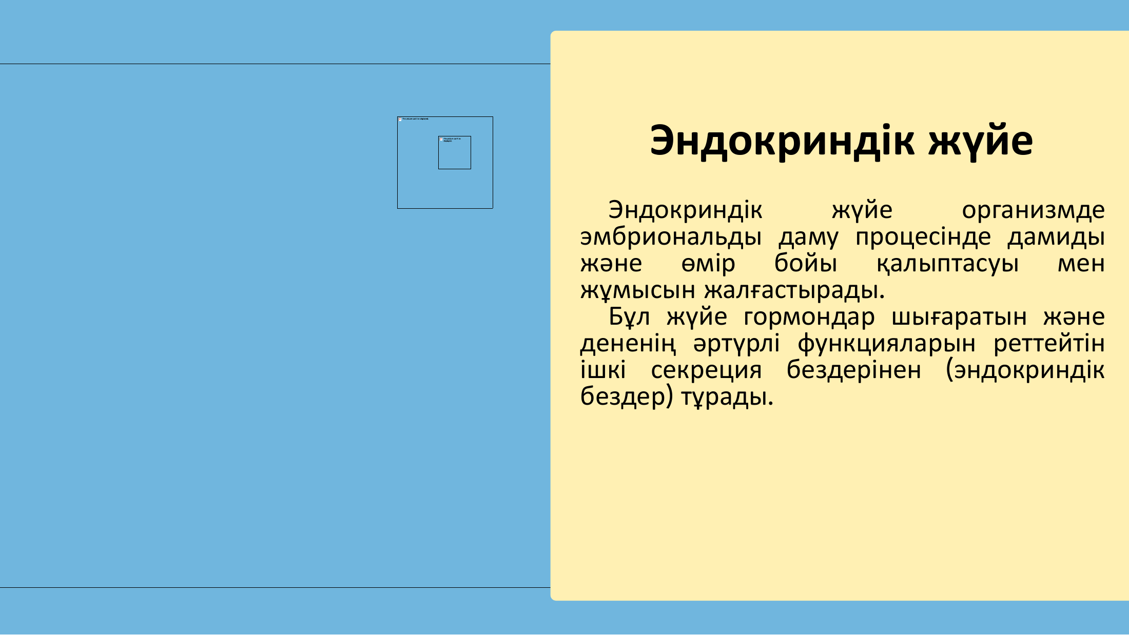 3-бет