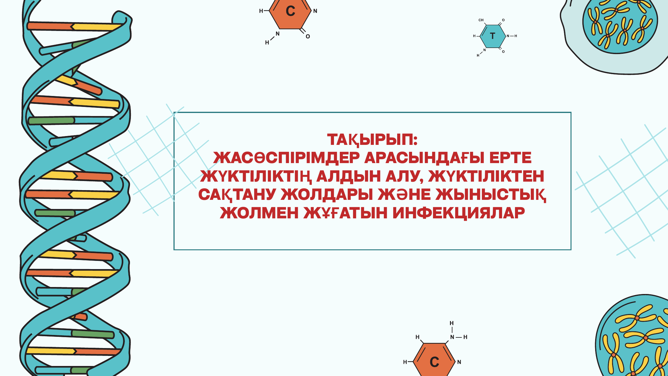 1-бет