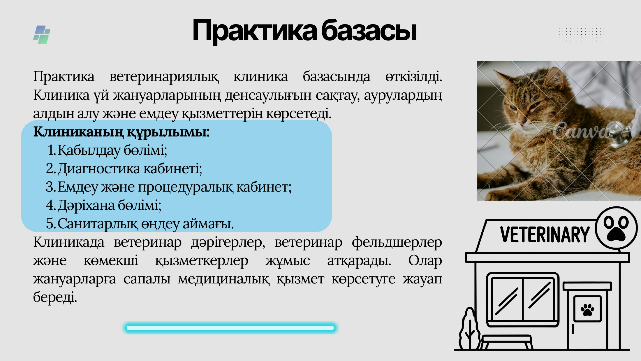 4-бет