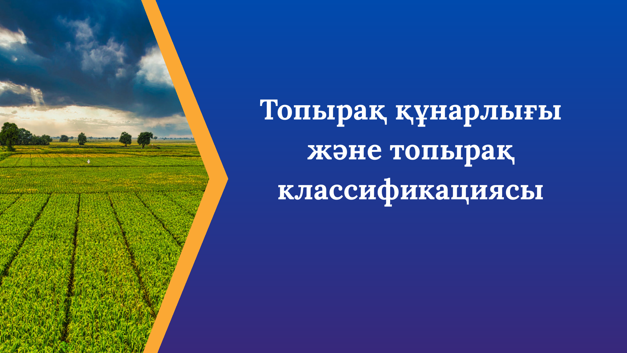 1-бет