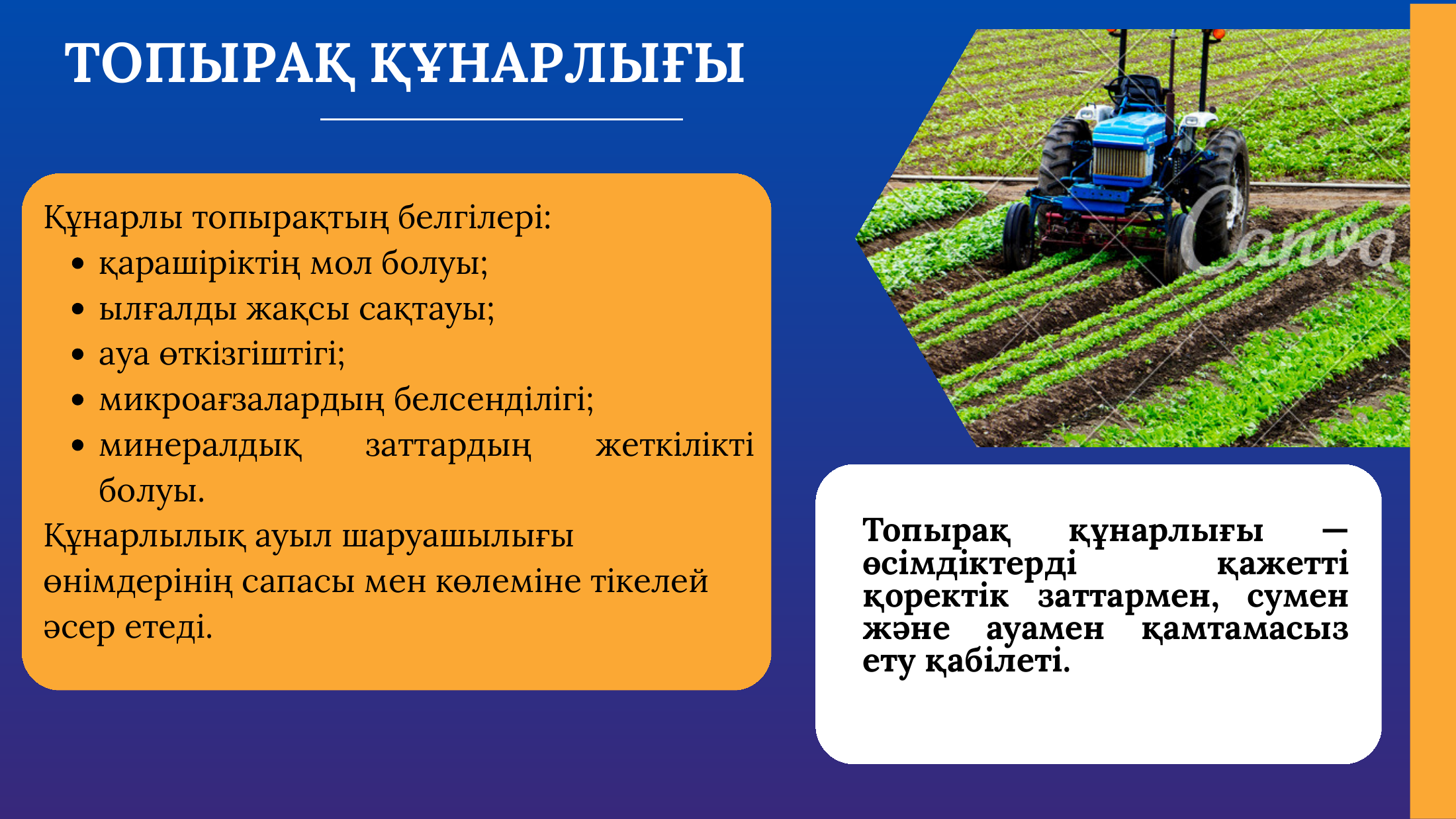 4-бет
