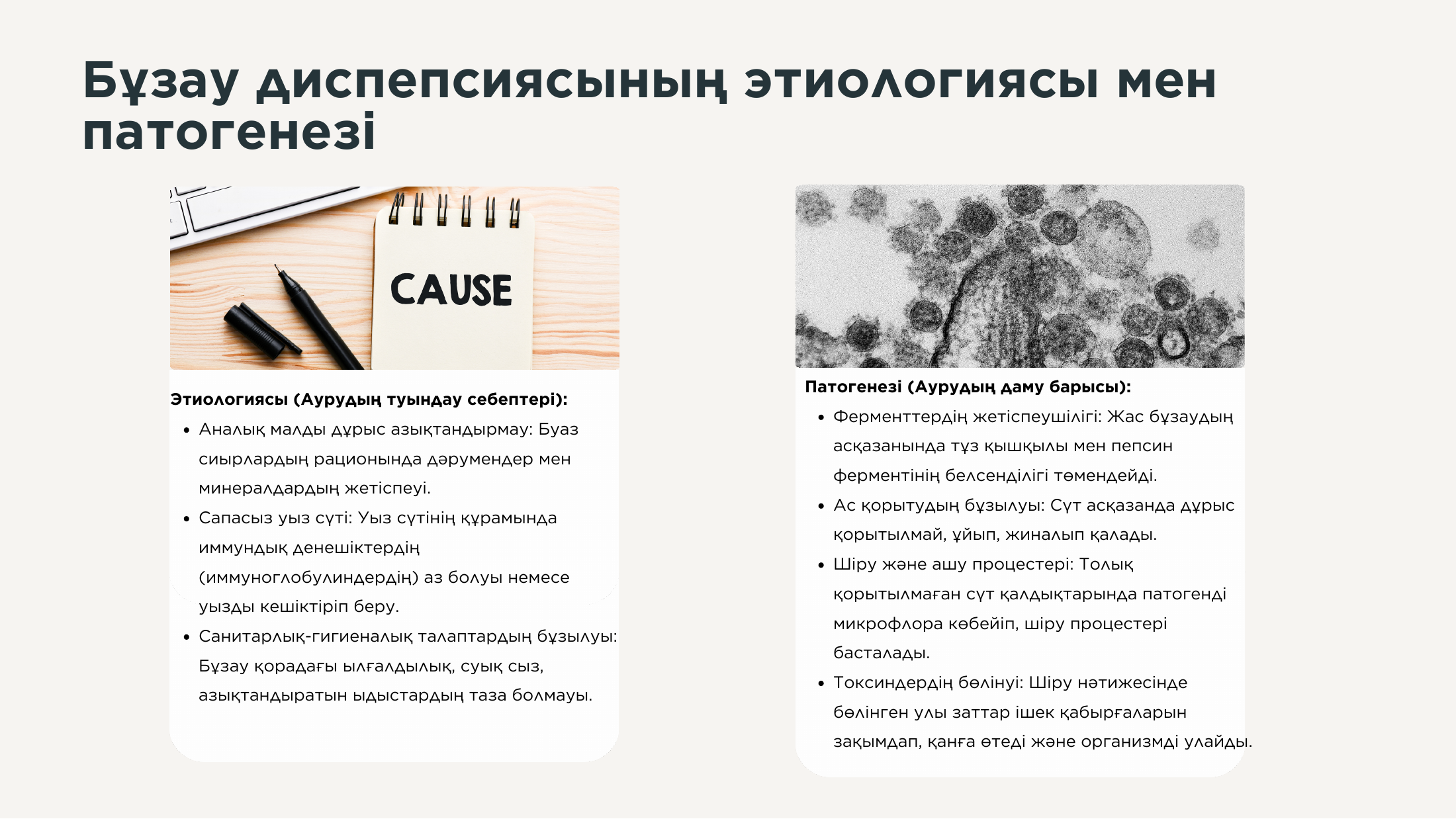 3-бет