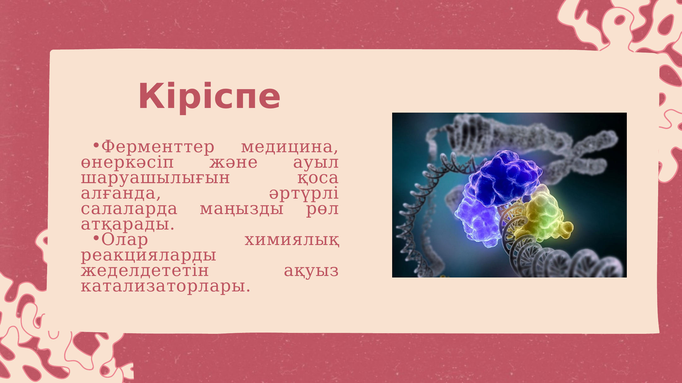 2-бет