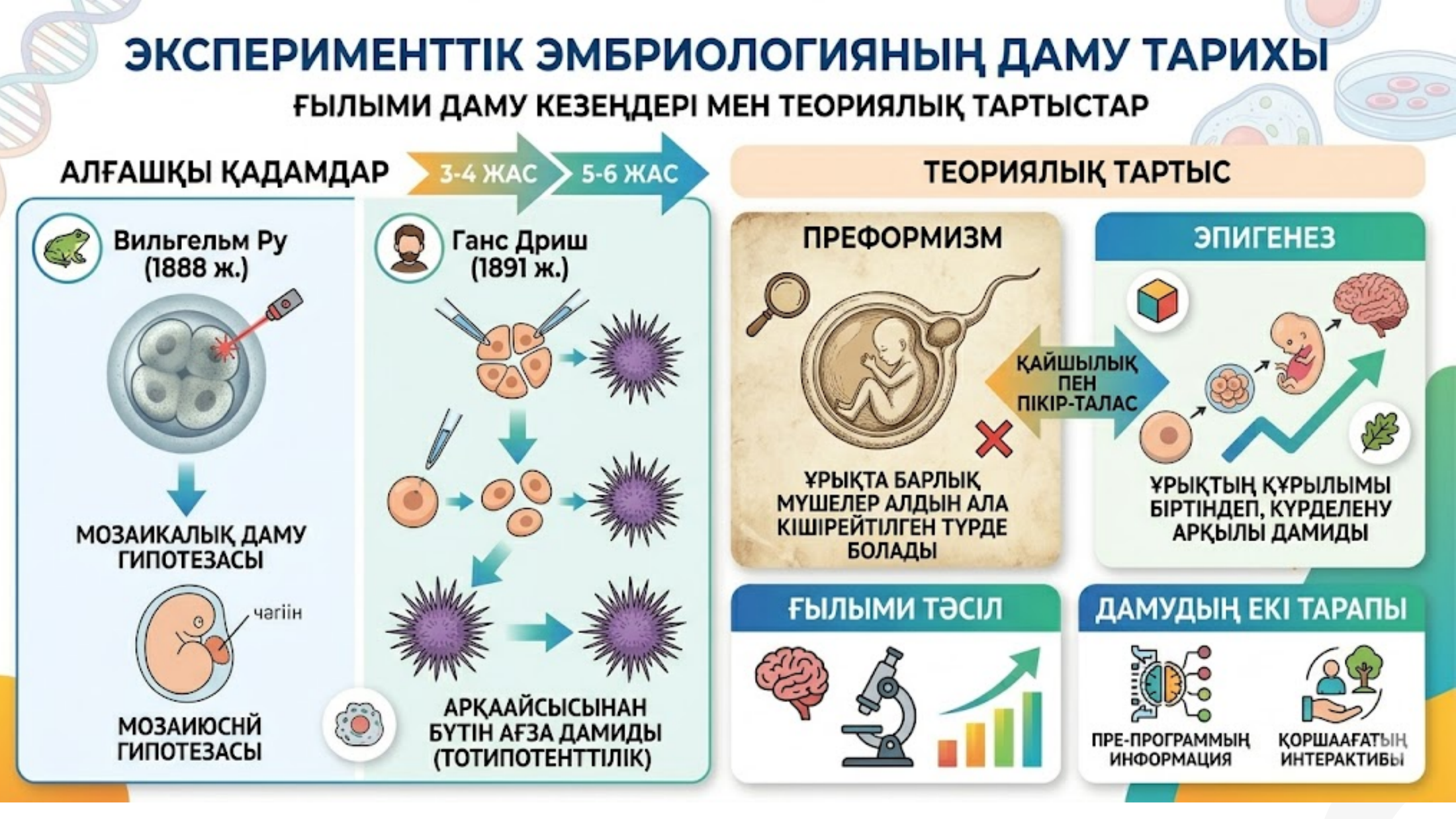 3-бет