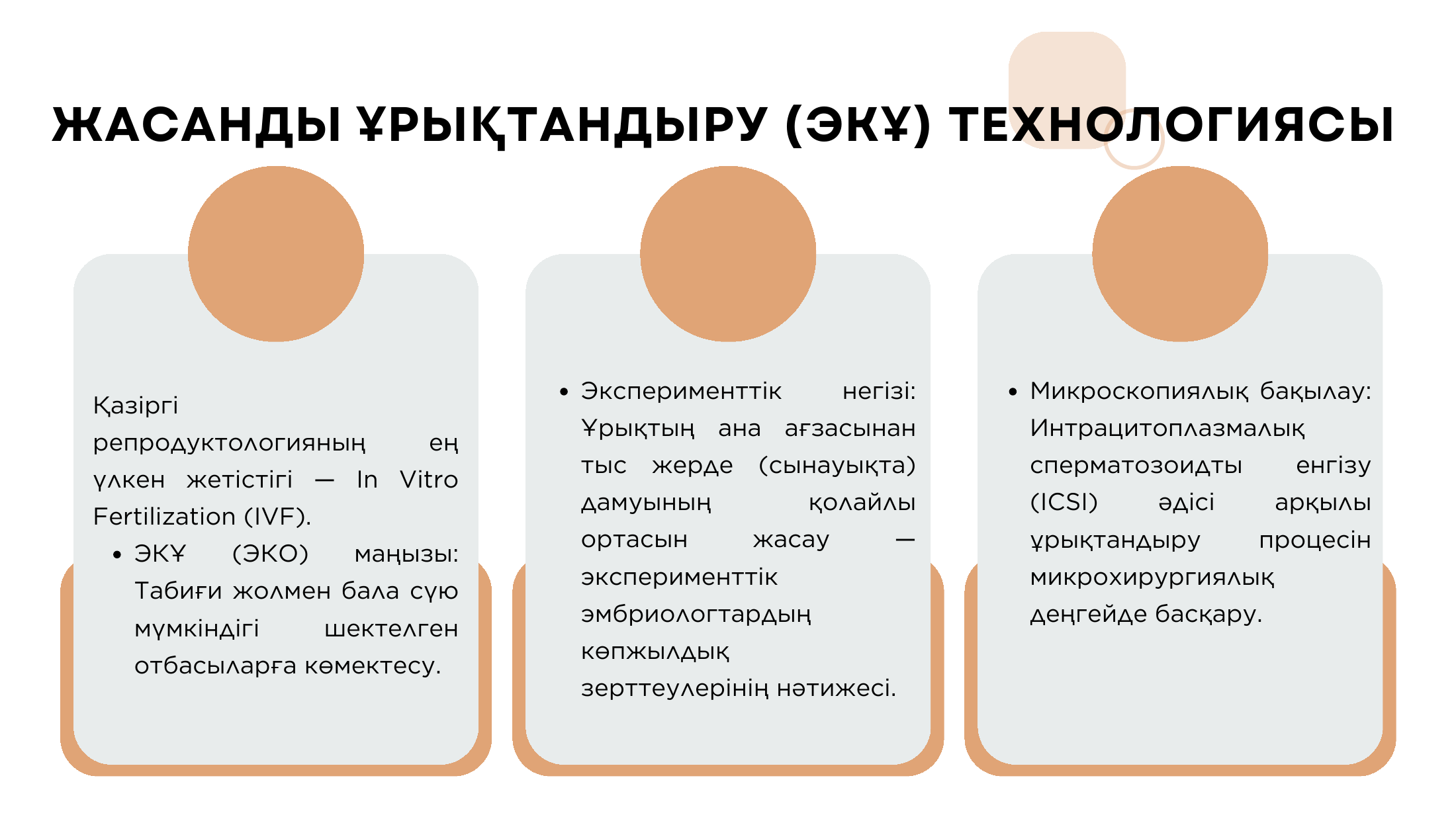 5-бет