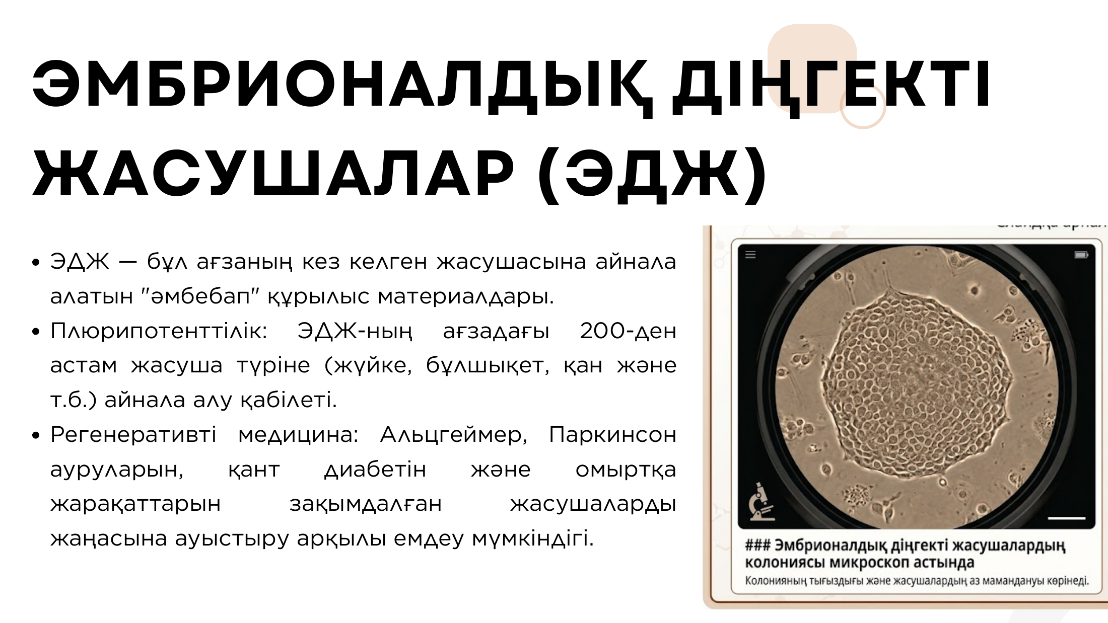 6-бет