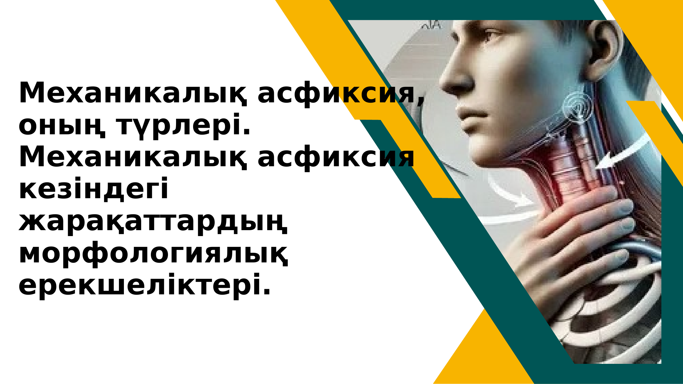 1-бет