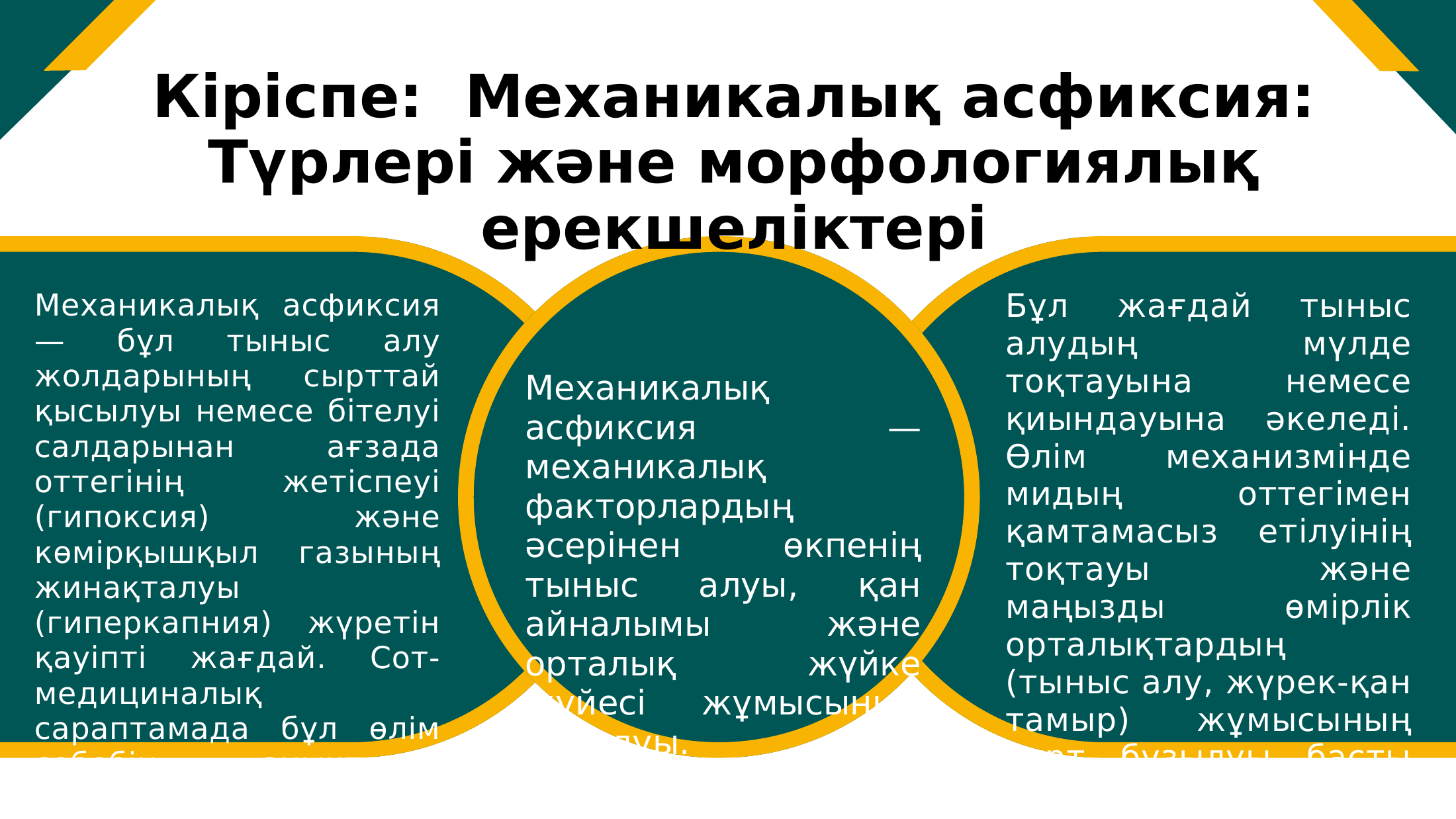 2-бет