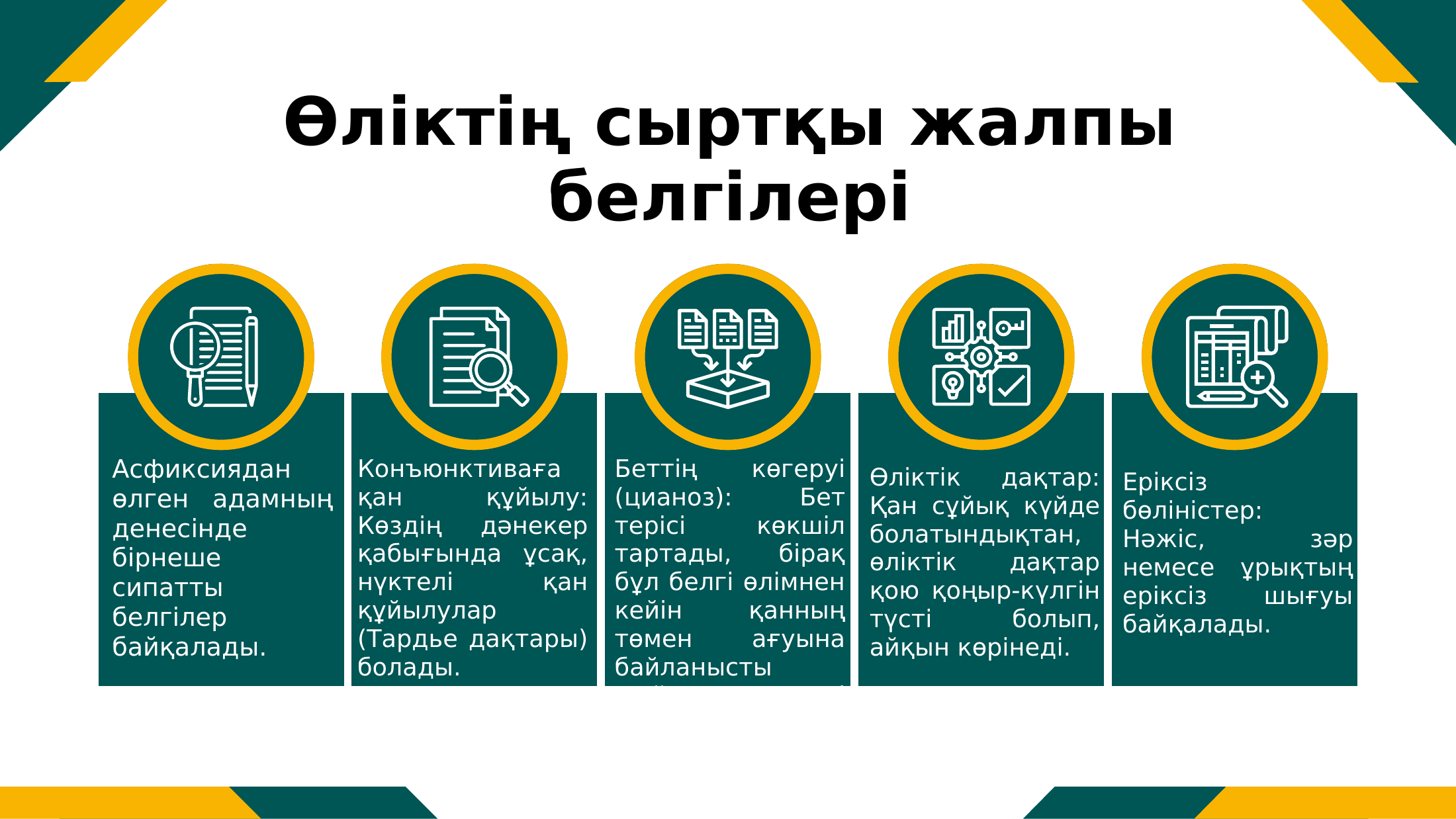4-бет