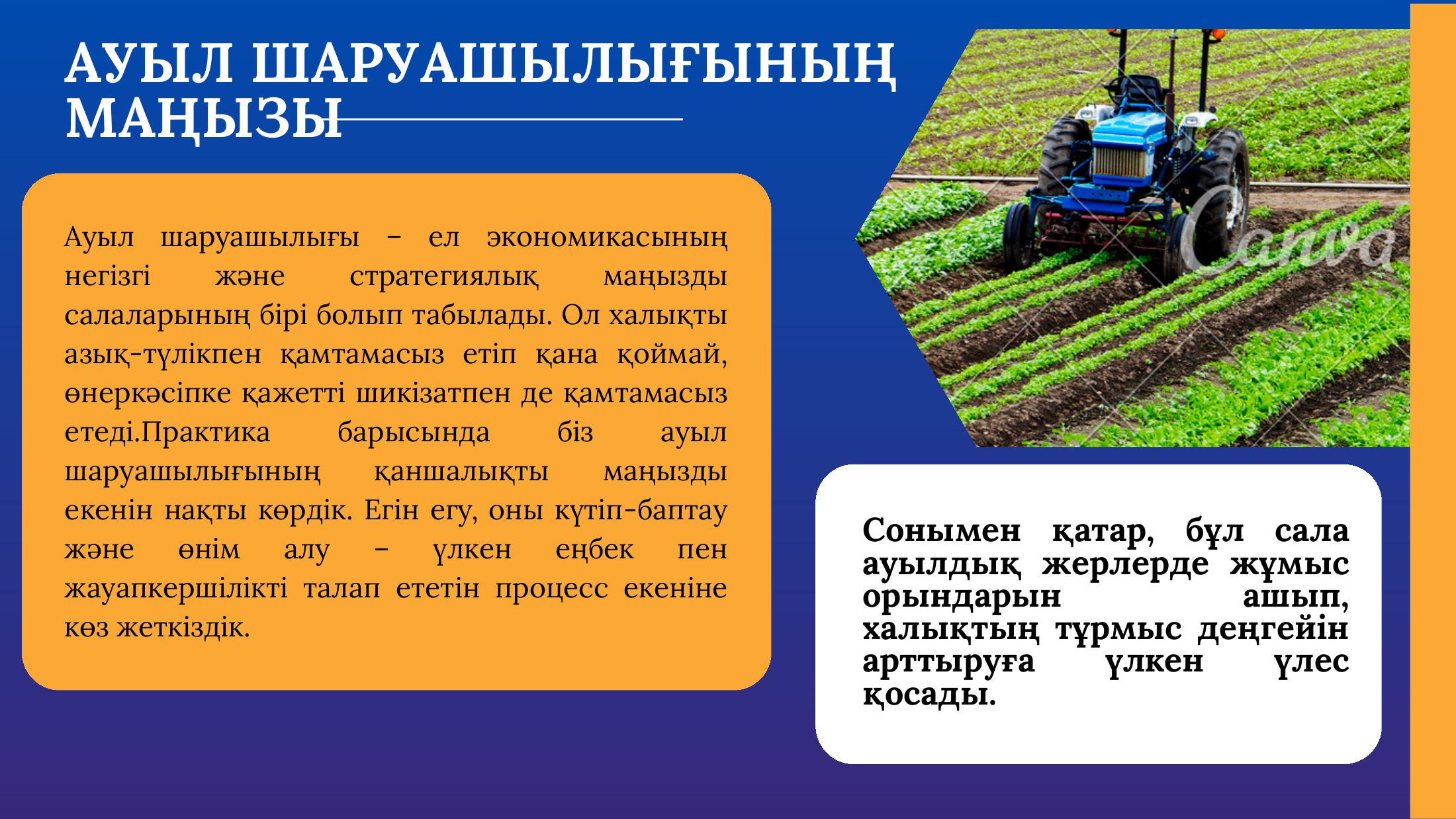 4-бет