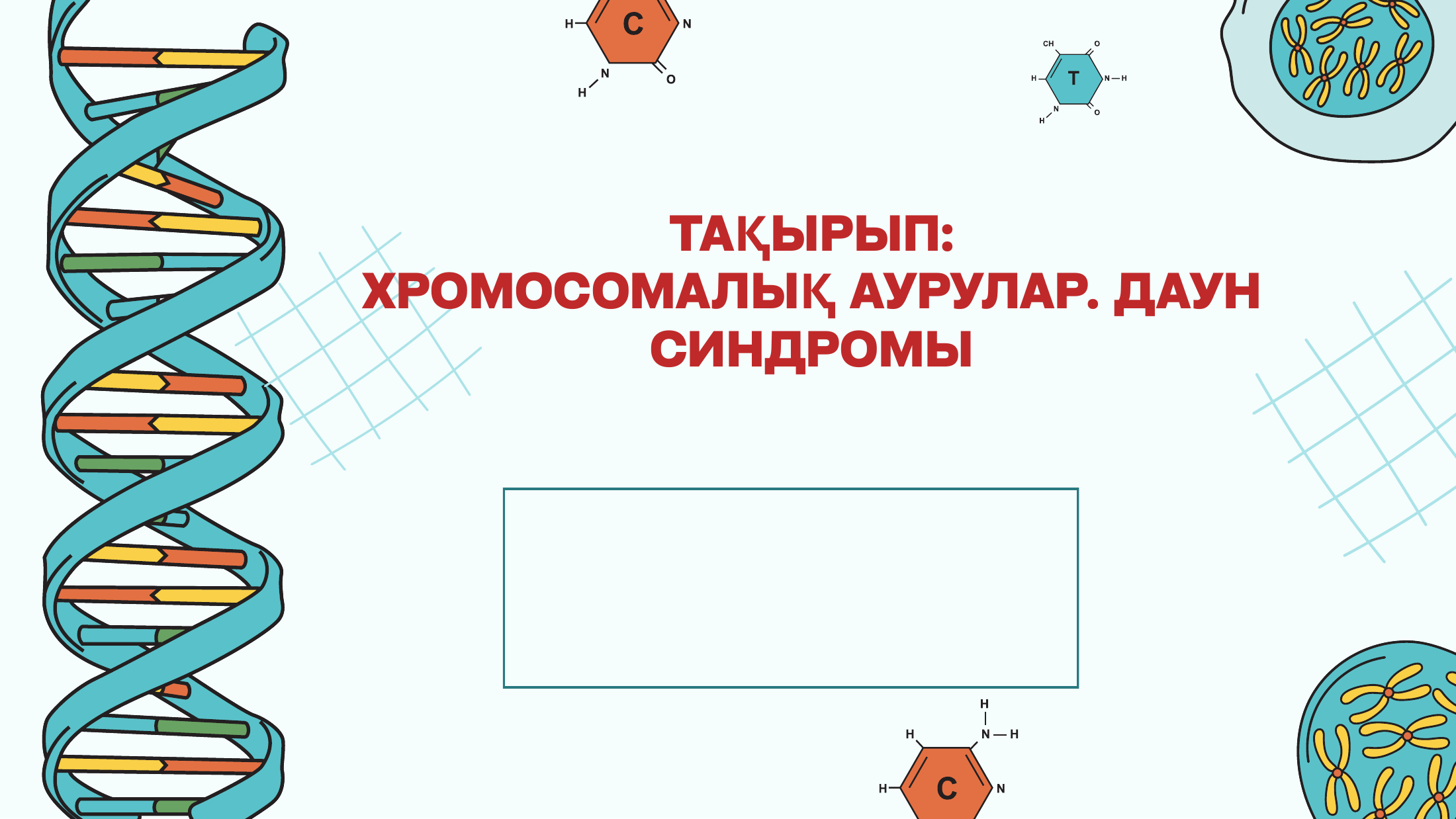 1-бет