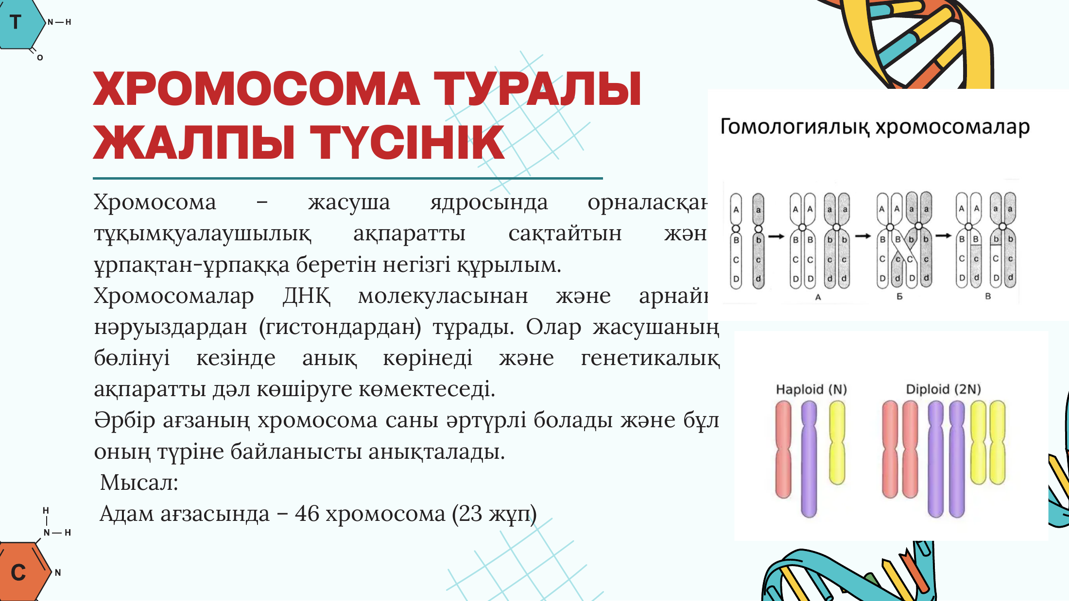 2-бет