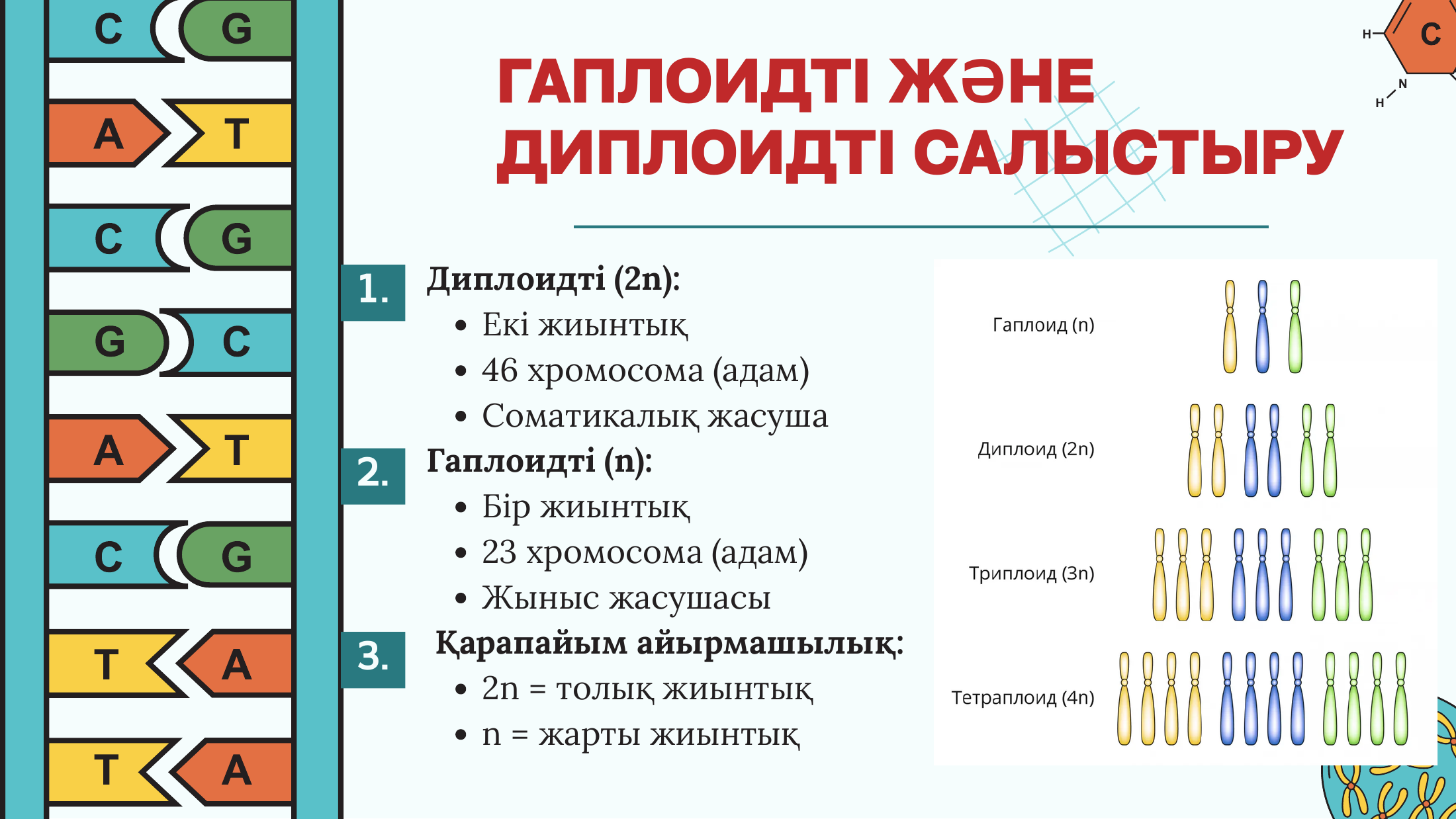 6-бет