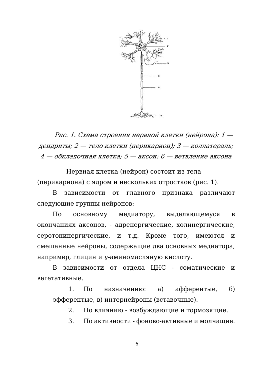 6-бет