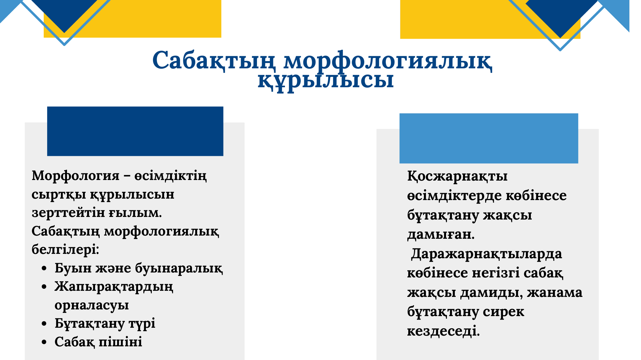 3-бет