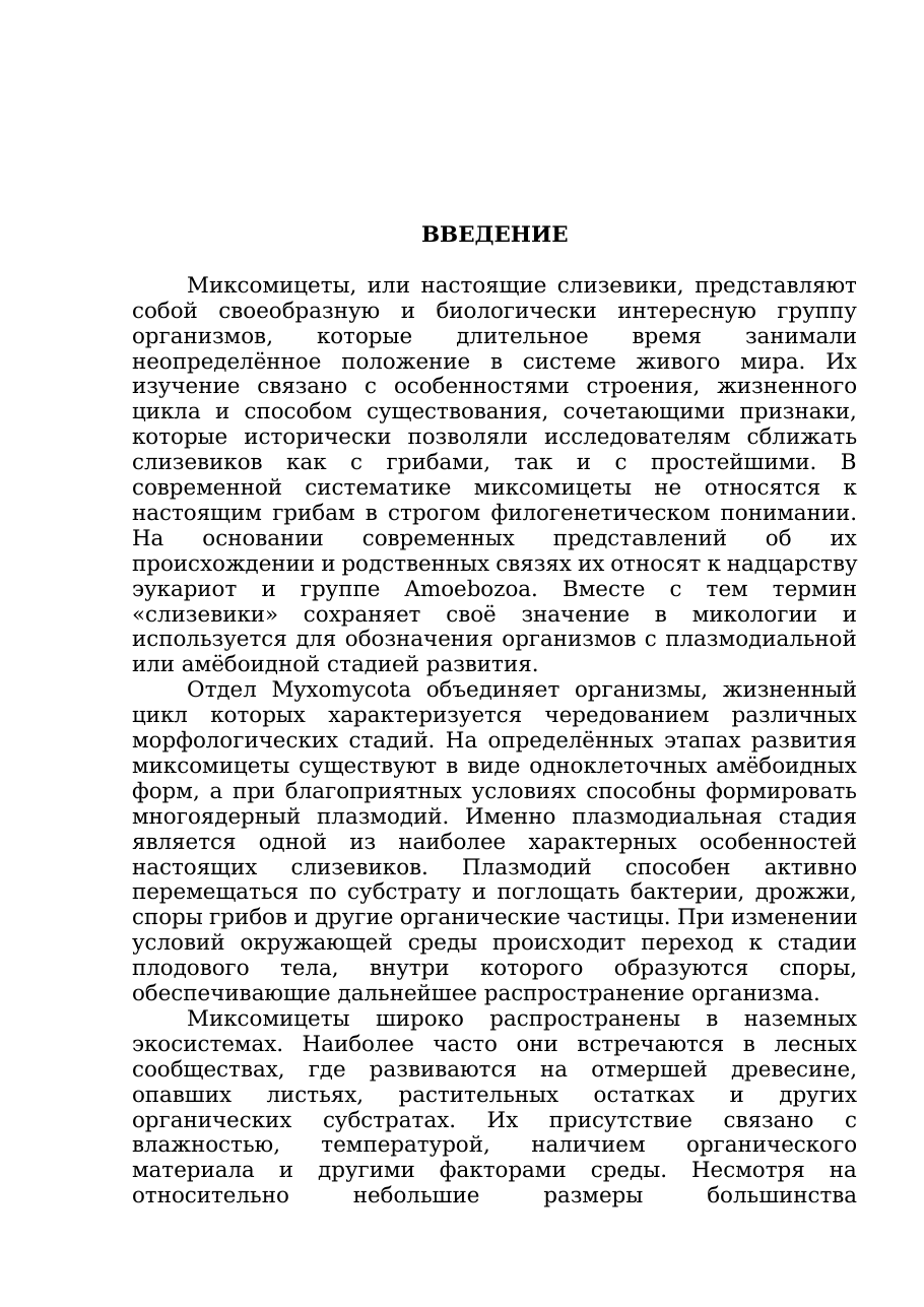 3-бет