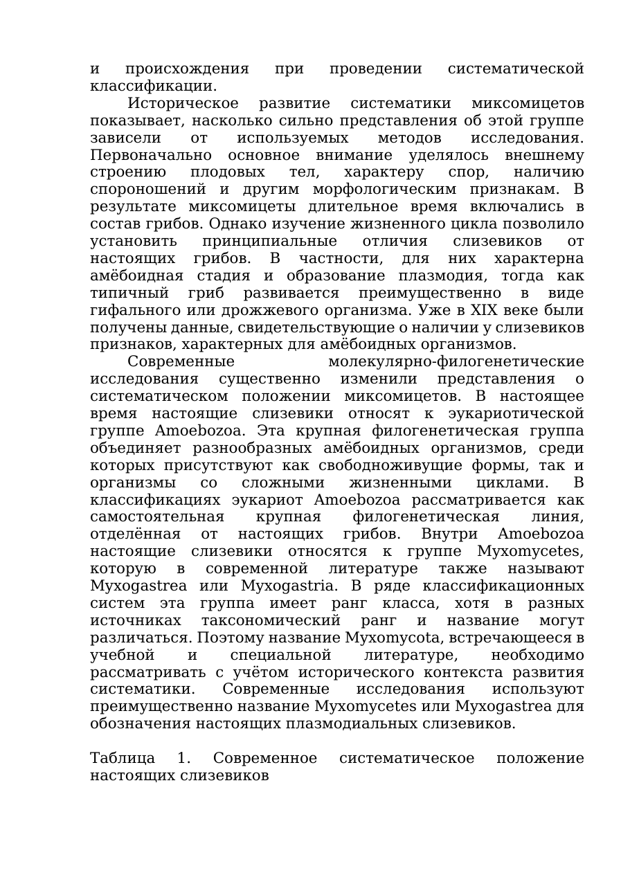 5-бет