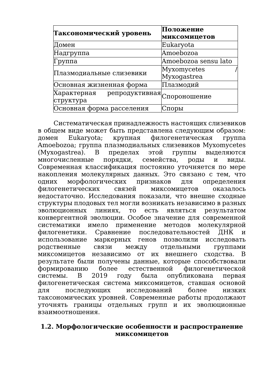 6-бет