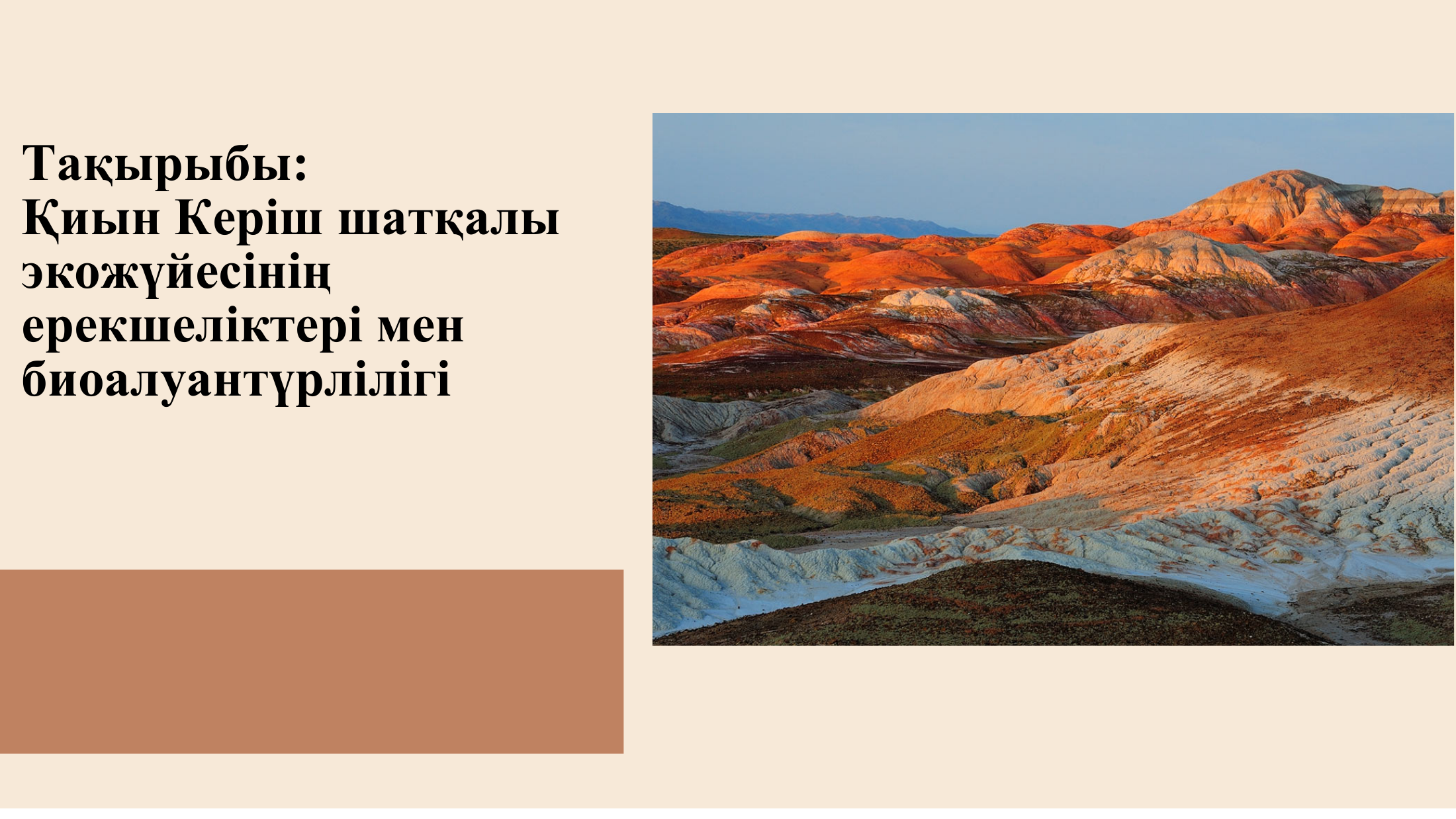 1-бет