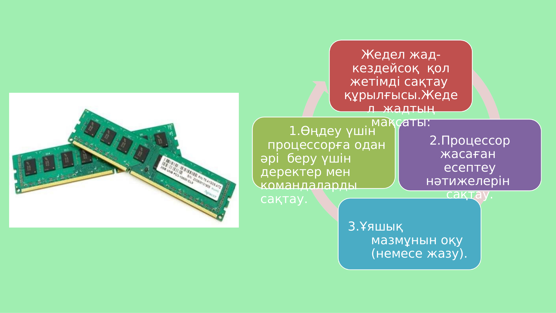 4-бет