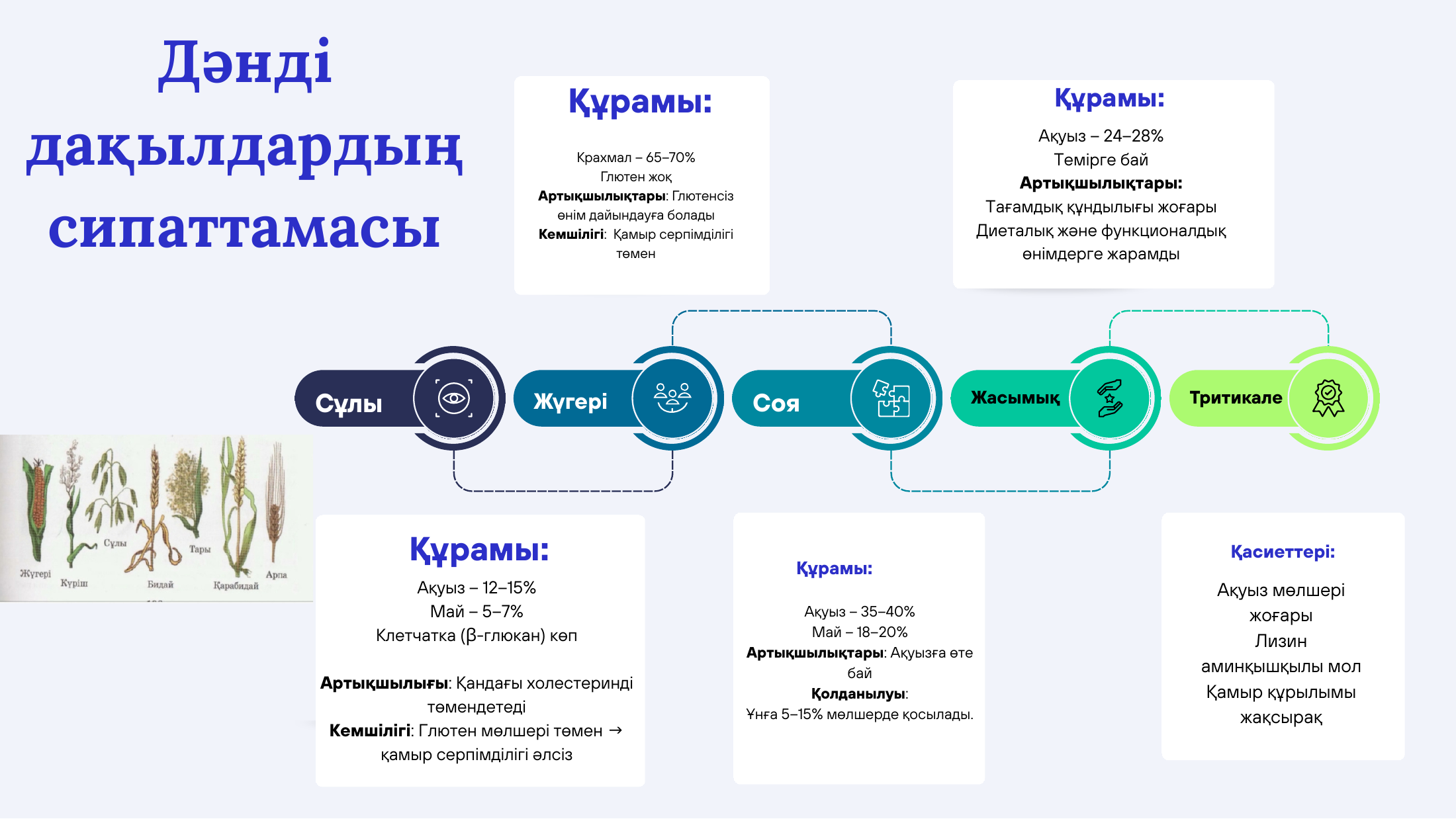 4-бет