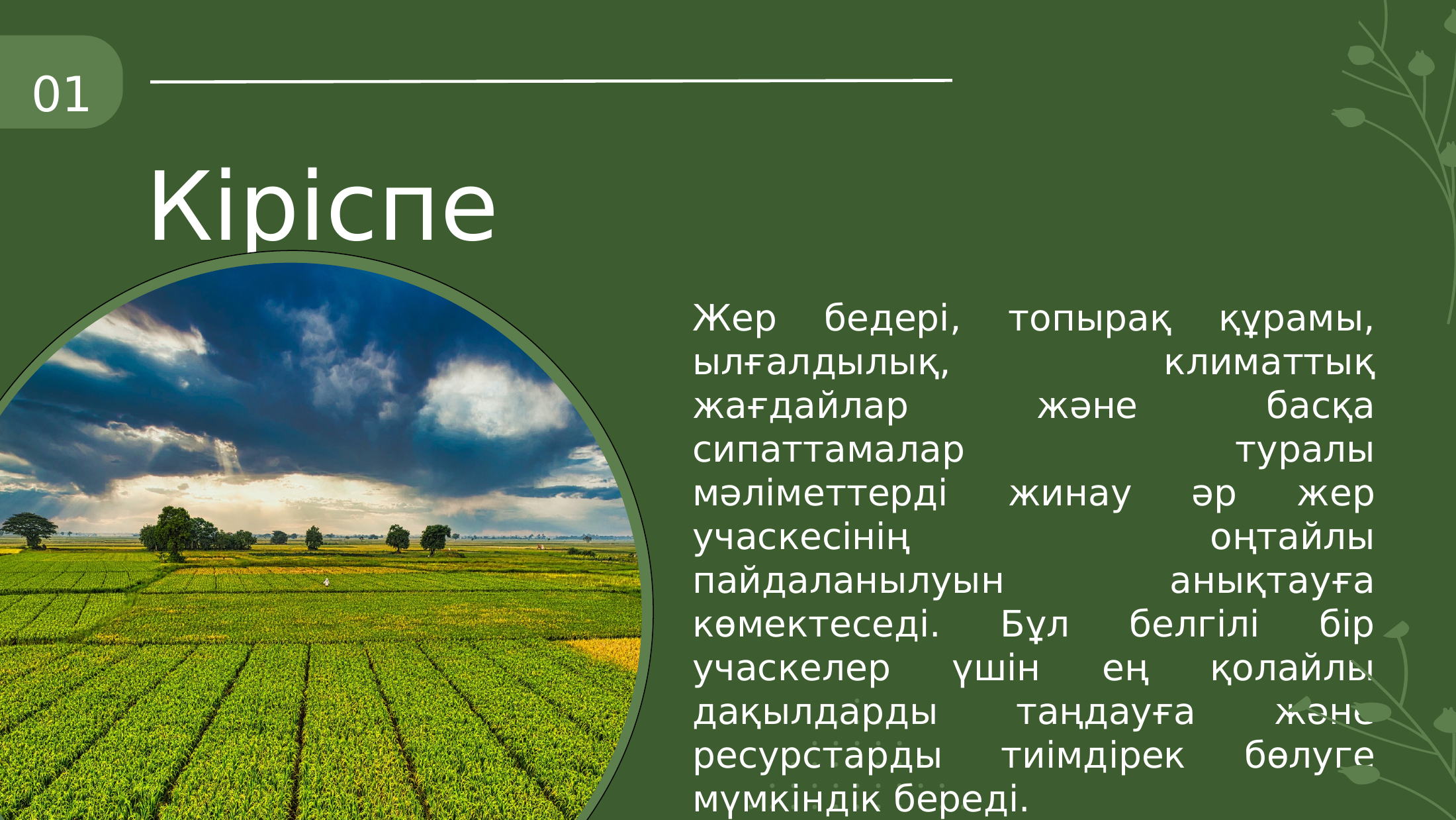 3-бет