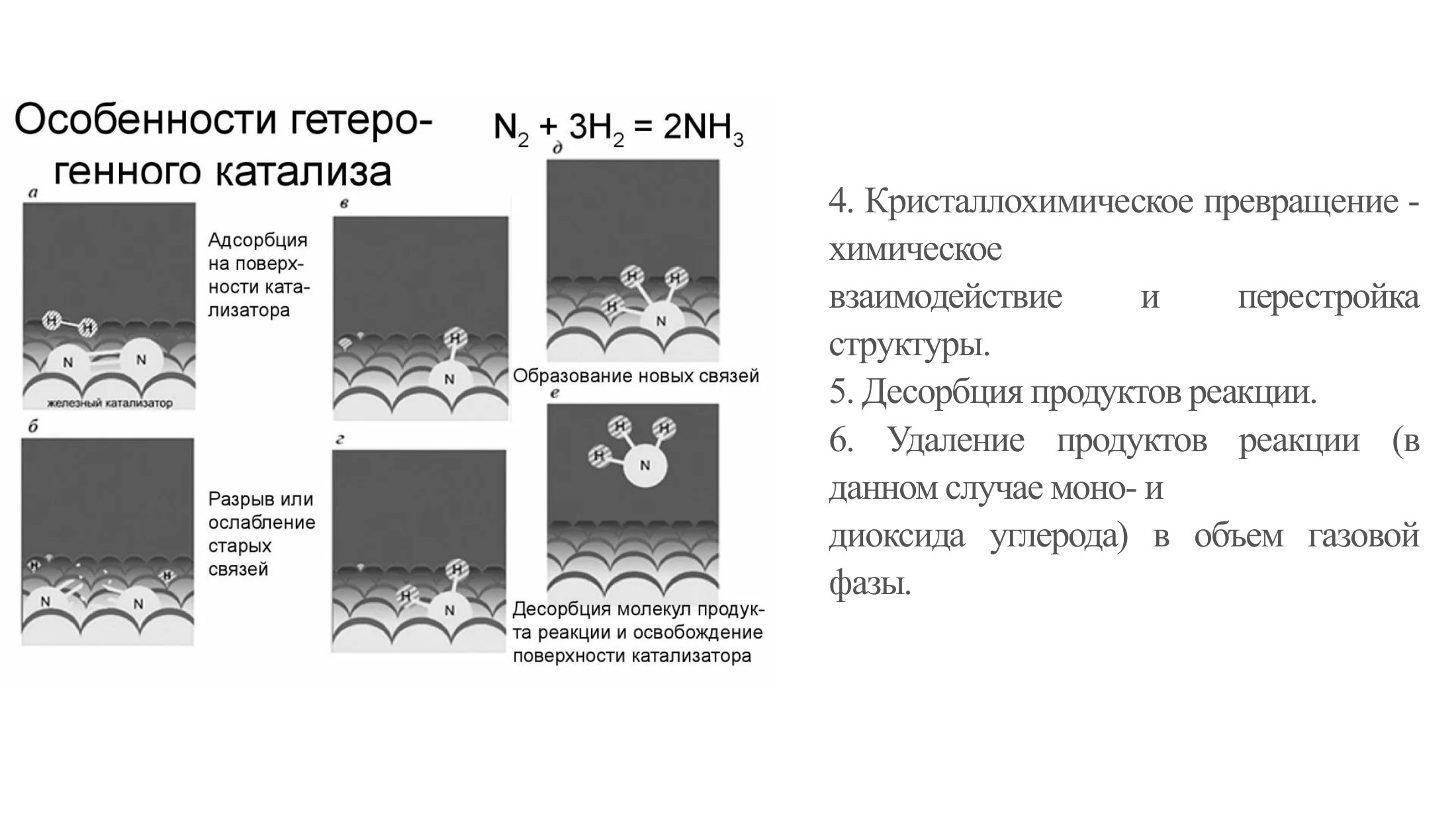5-бет