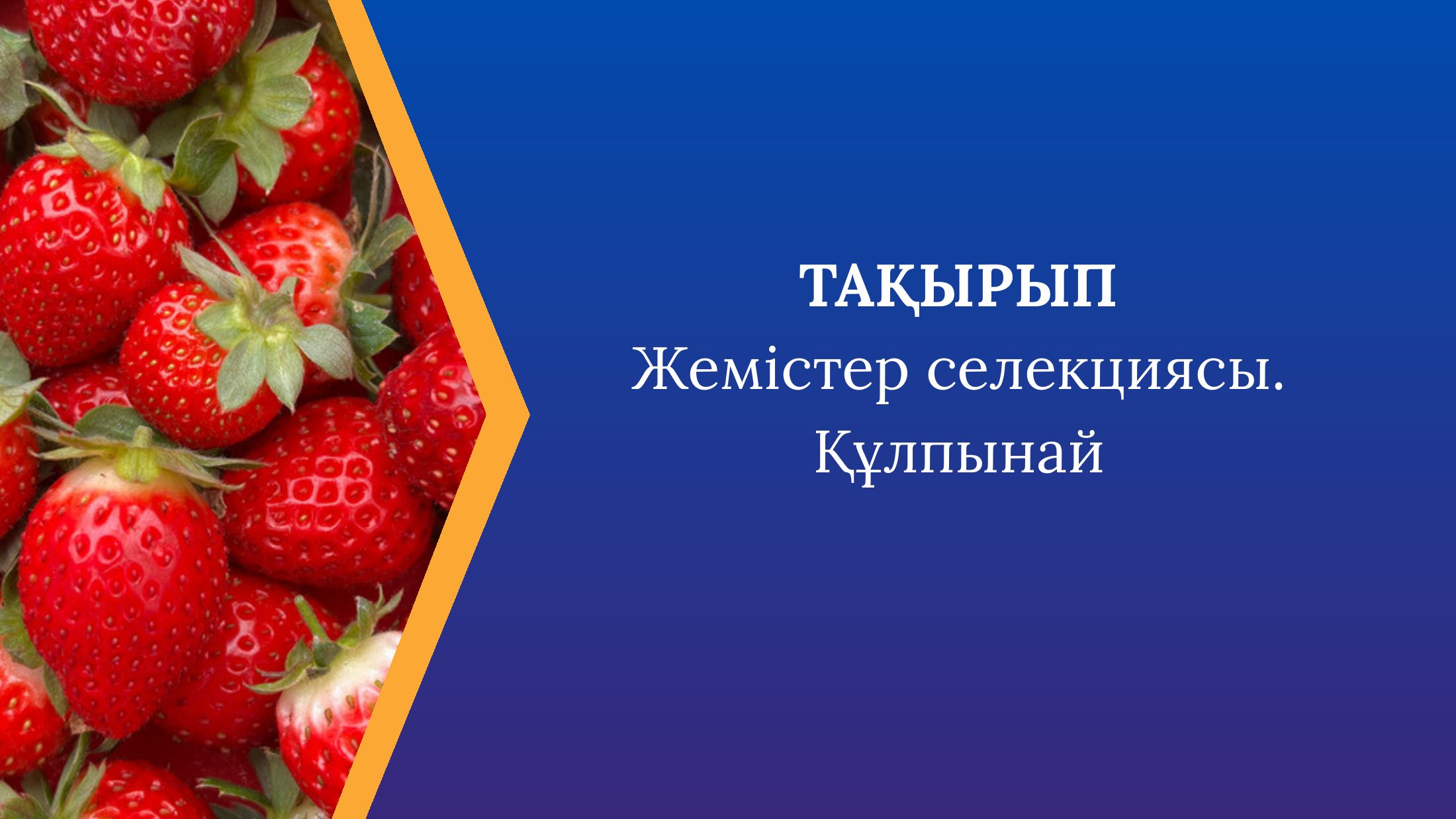 1-бет
