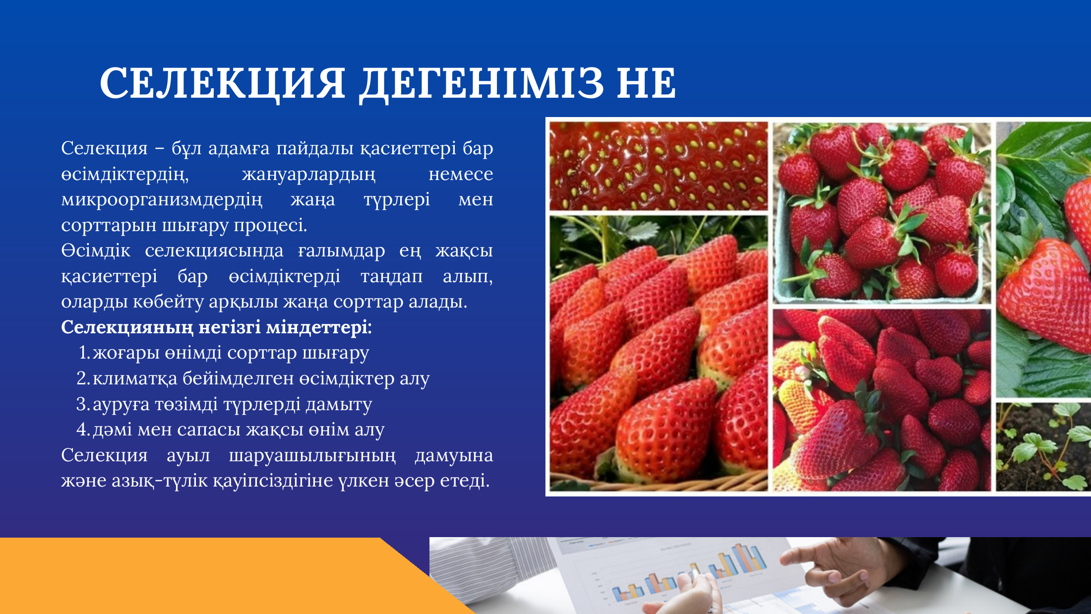 3-бет