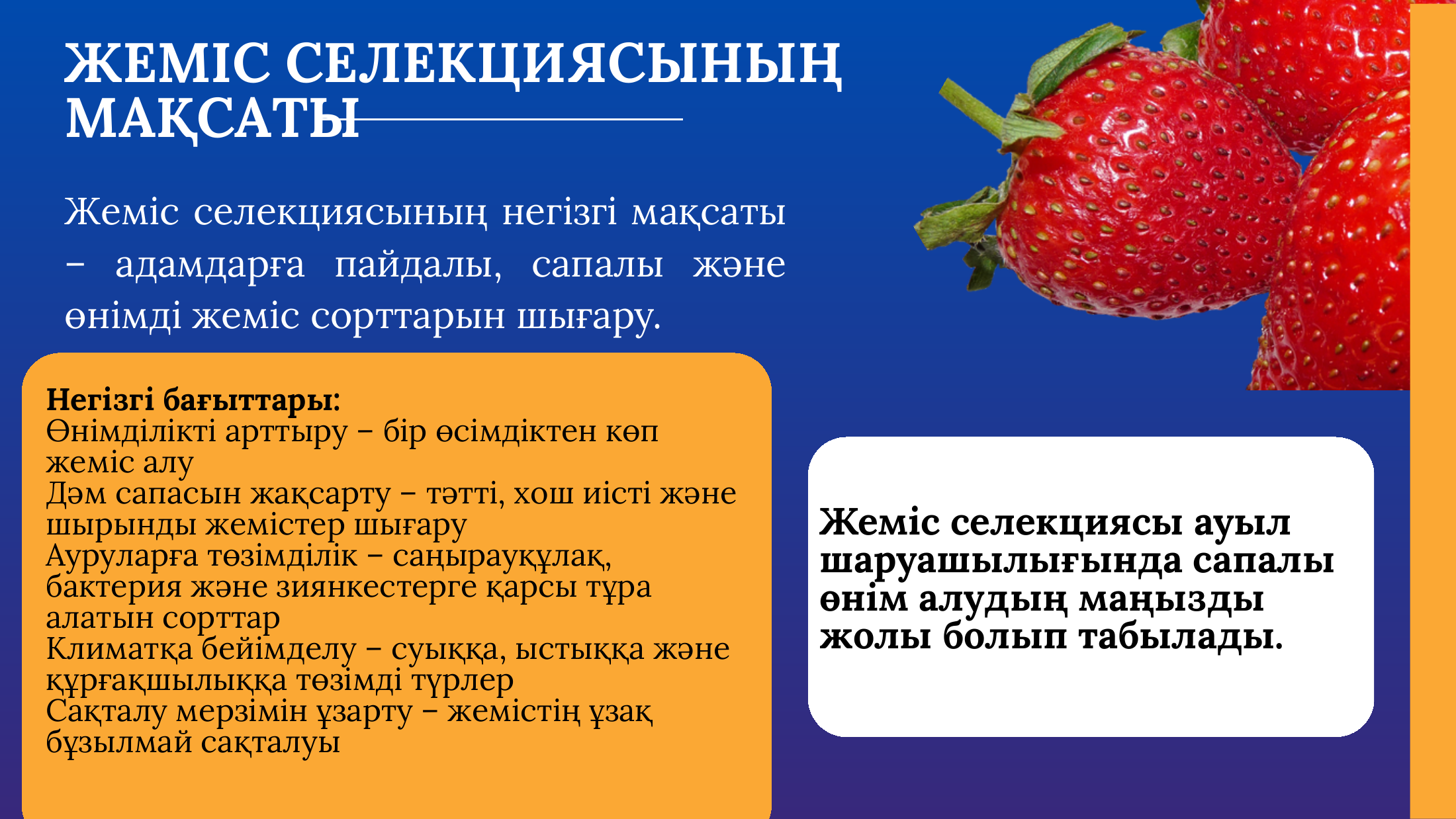 4-бет