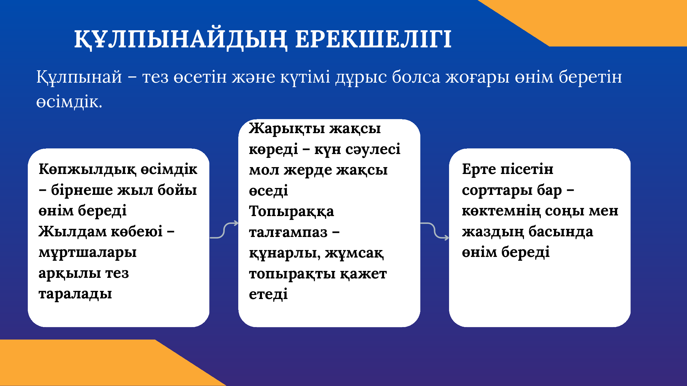 6-бет